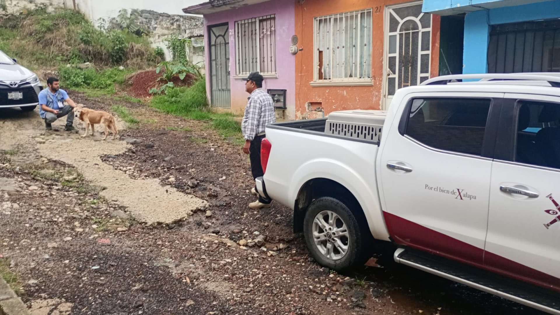 Ayuntamiento de Xalapa fortalece acciones de protección y bienestar animal