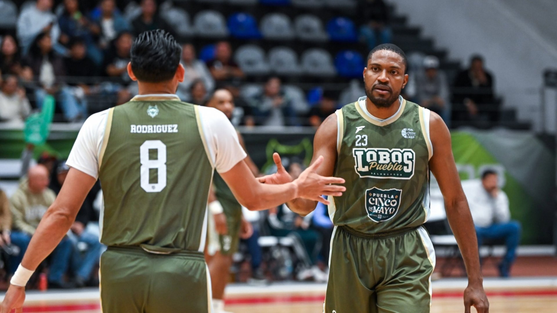 Lobos Puebla busca la revancha ante Panteras en los playoffs