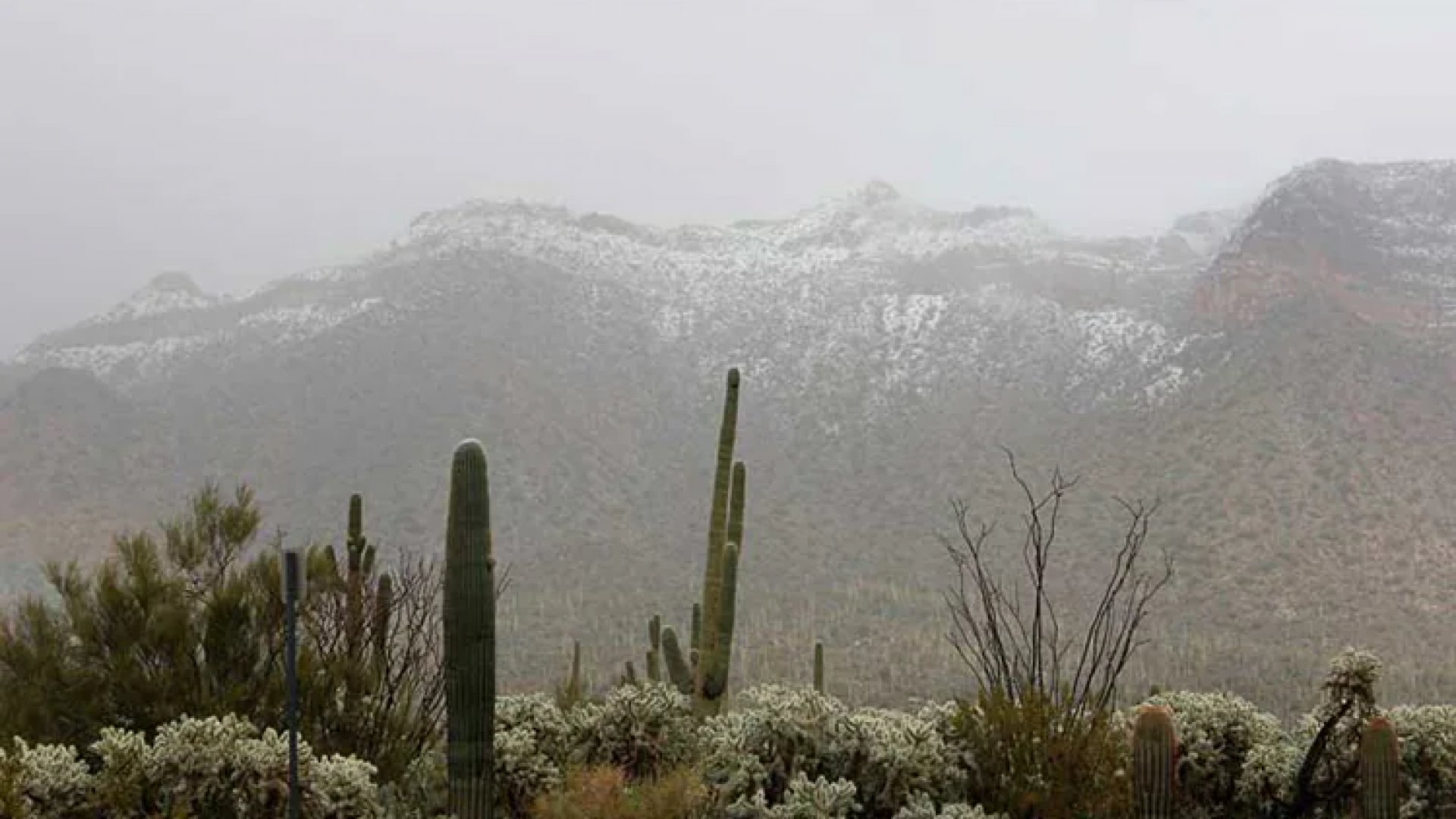 Frente frío 27 llega a México con descenso de temperaturas y chubascos