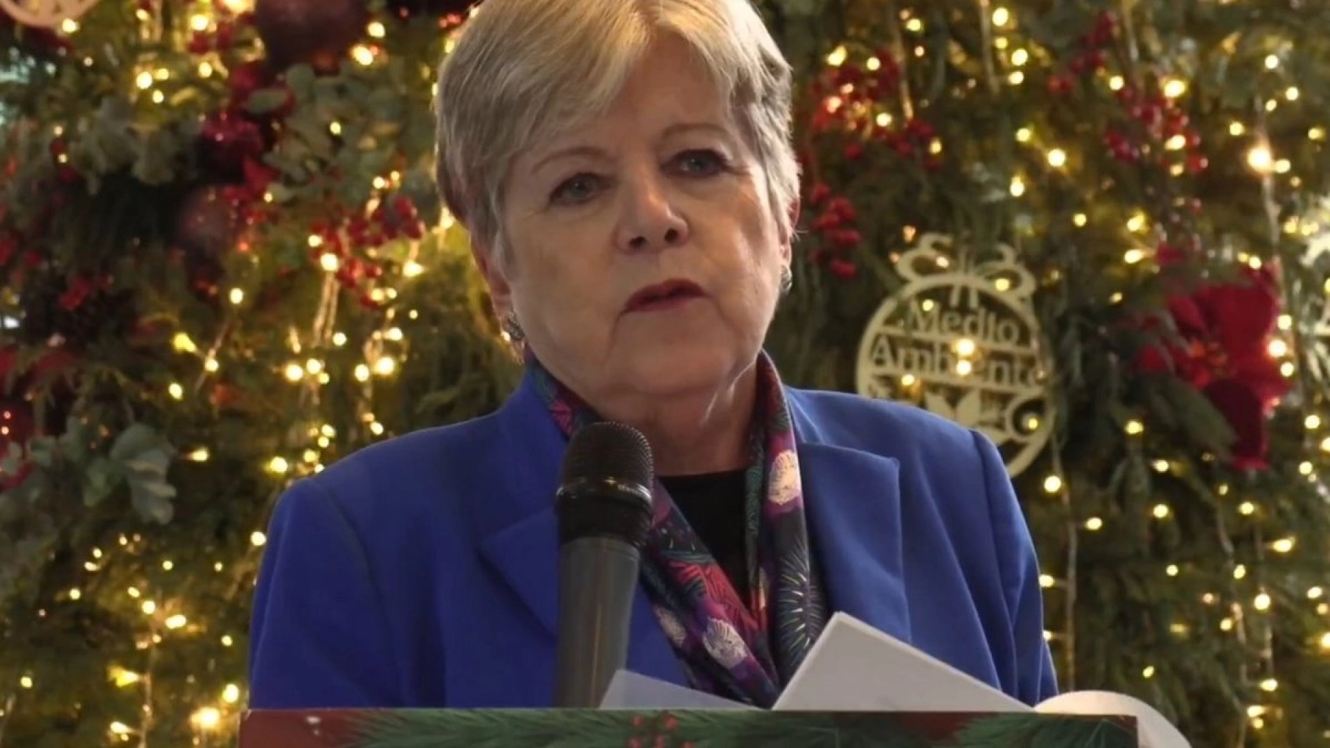 Bárcena respalda a Sheinbaum y traza agenda ambiental para 2026