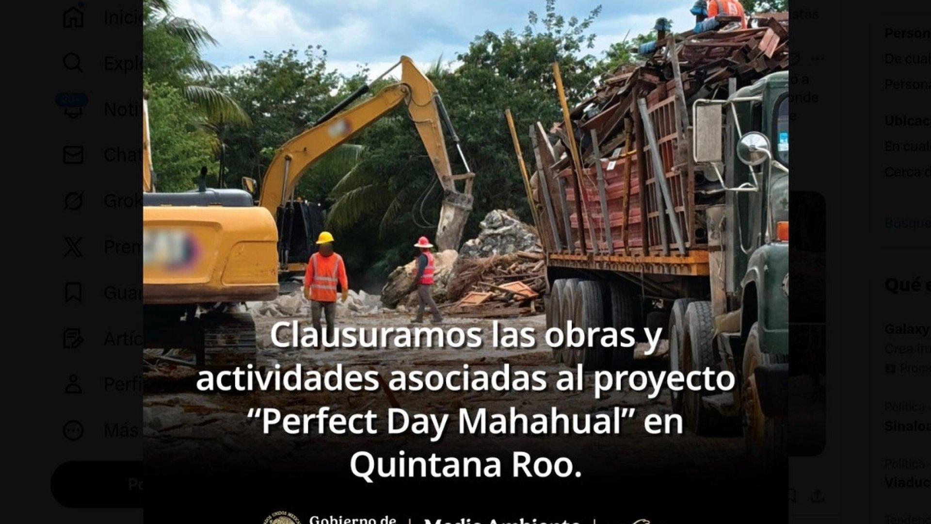 Profepa clausura proyecto turístico en Mahahual por daño a manglar y selva costera