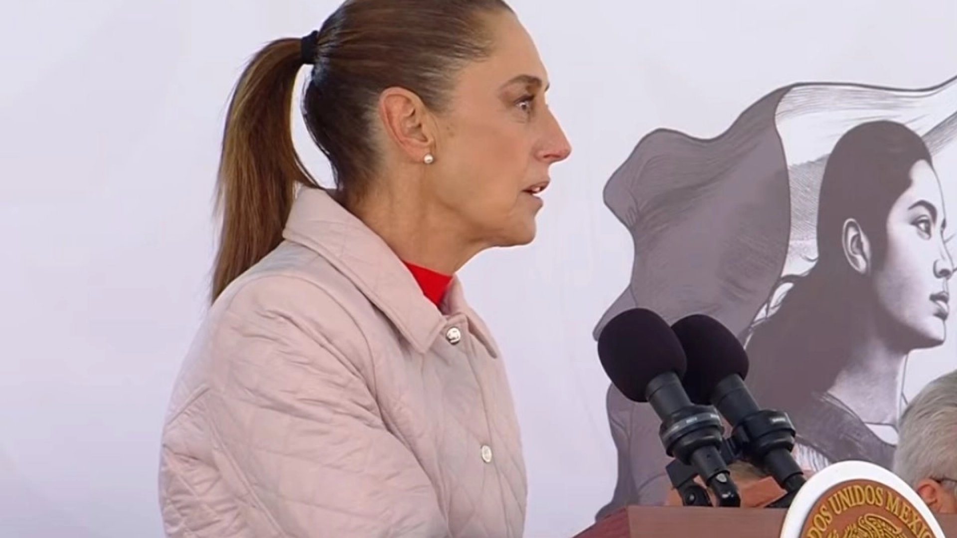 Sheinbaum afirma que ningún partido, y menos Morena, puede ser “paraguas” para delinquir