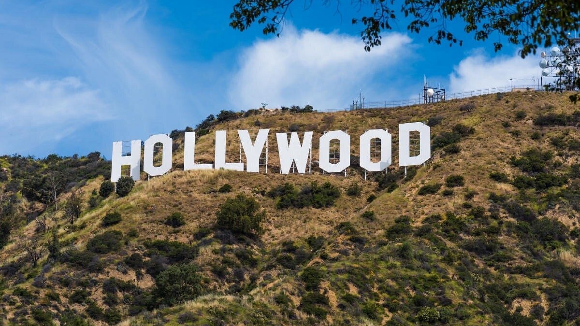 Hollywood enfrenta temores de revolución o destrucción por IA, alerta guionista