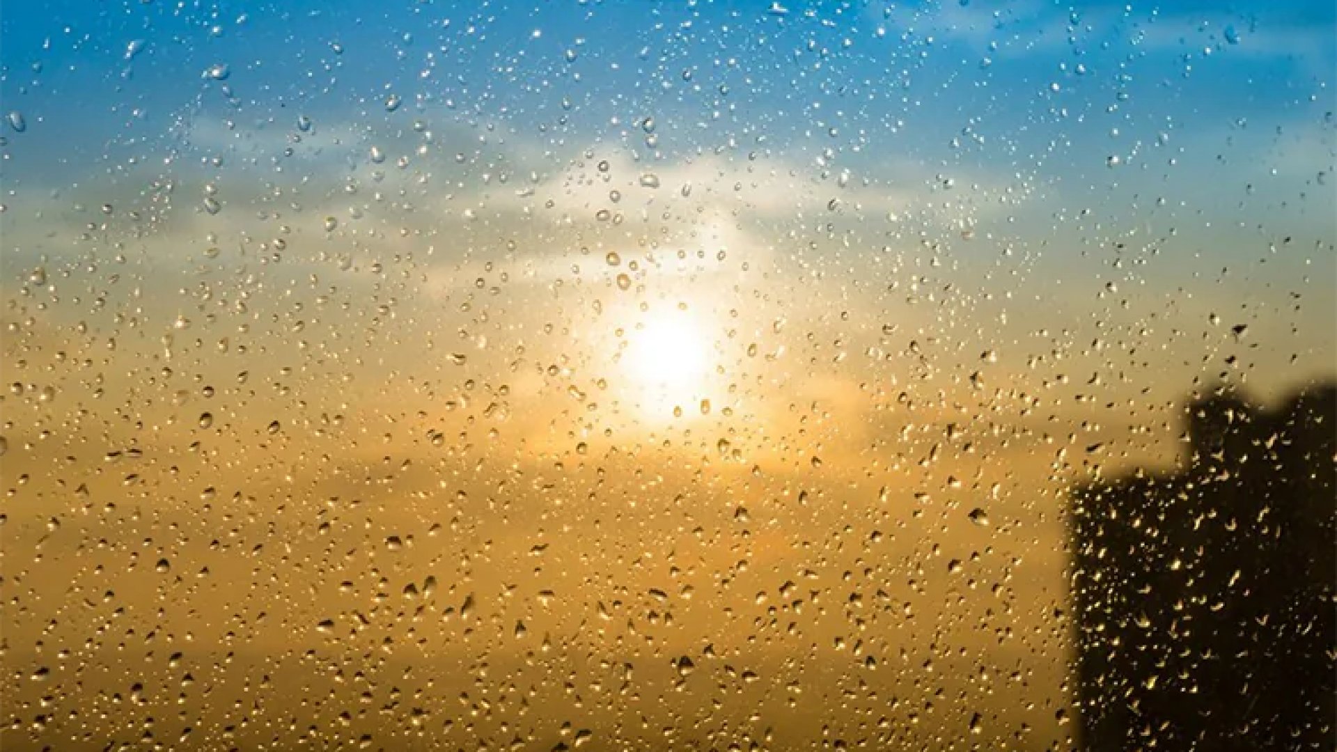 Lluvias y calor en varios estados de México: Así será el clima este 21 de febrero