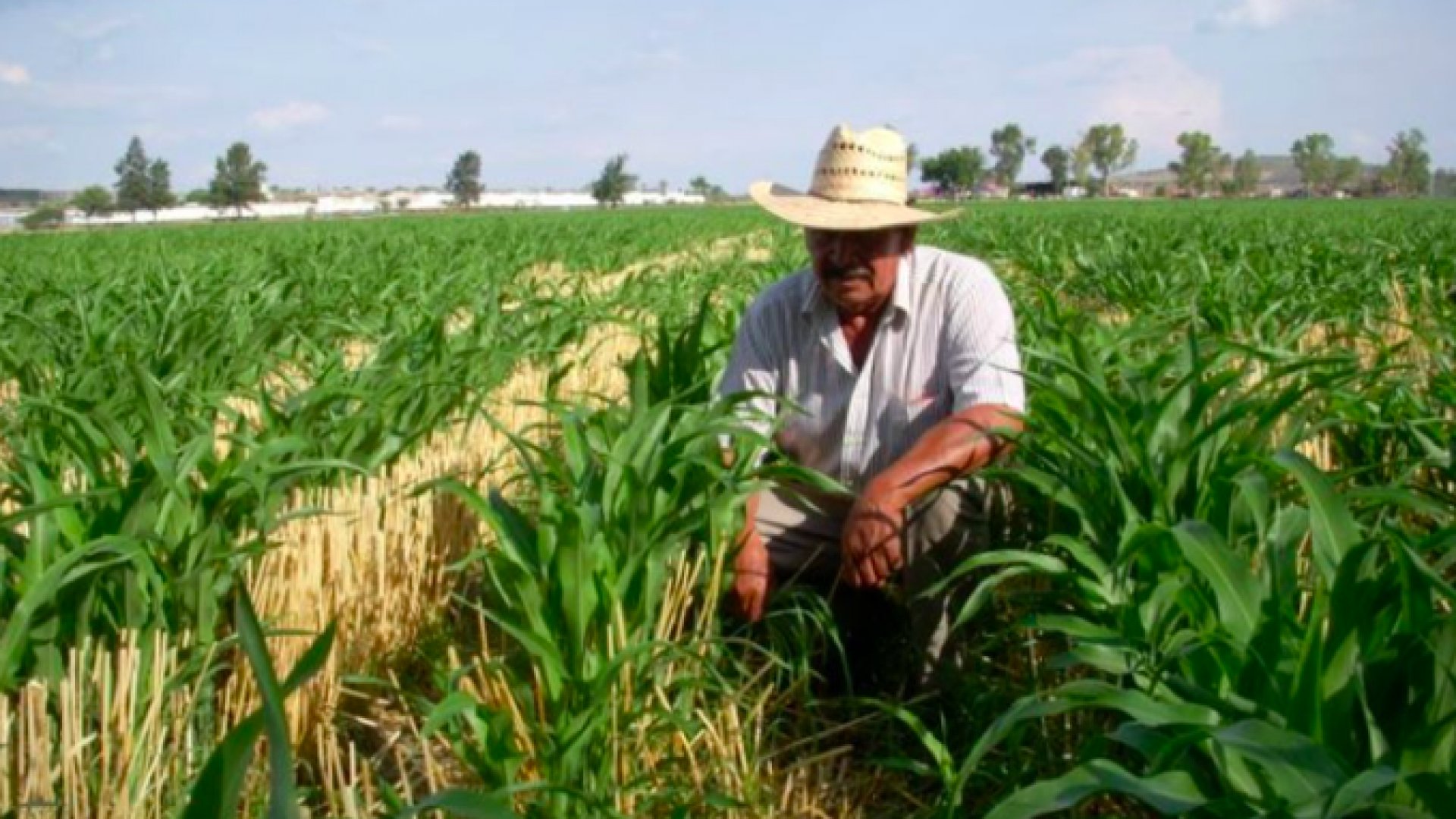 Gobierno condona adeudos a productores del campo, pesca y sector forestal