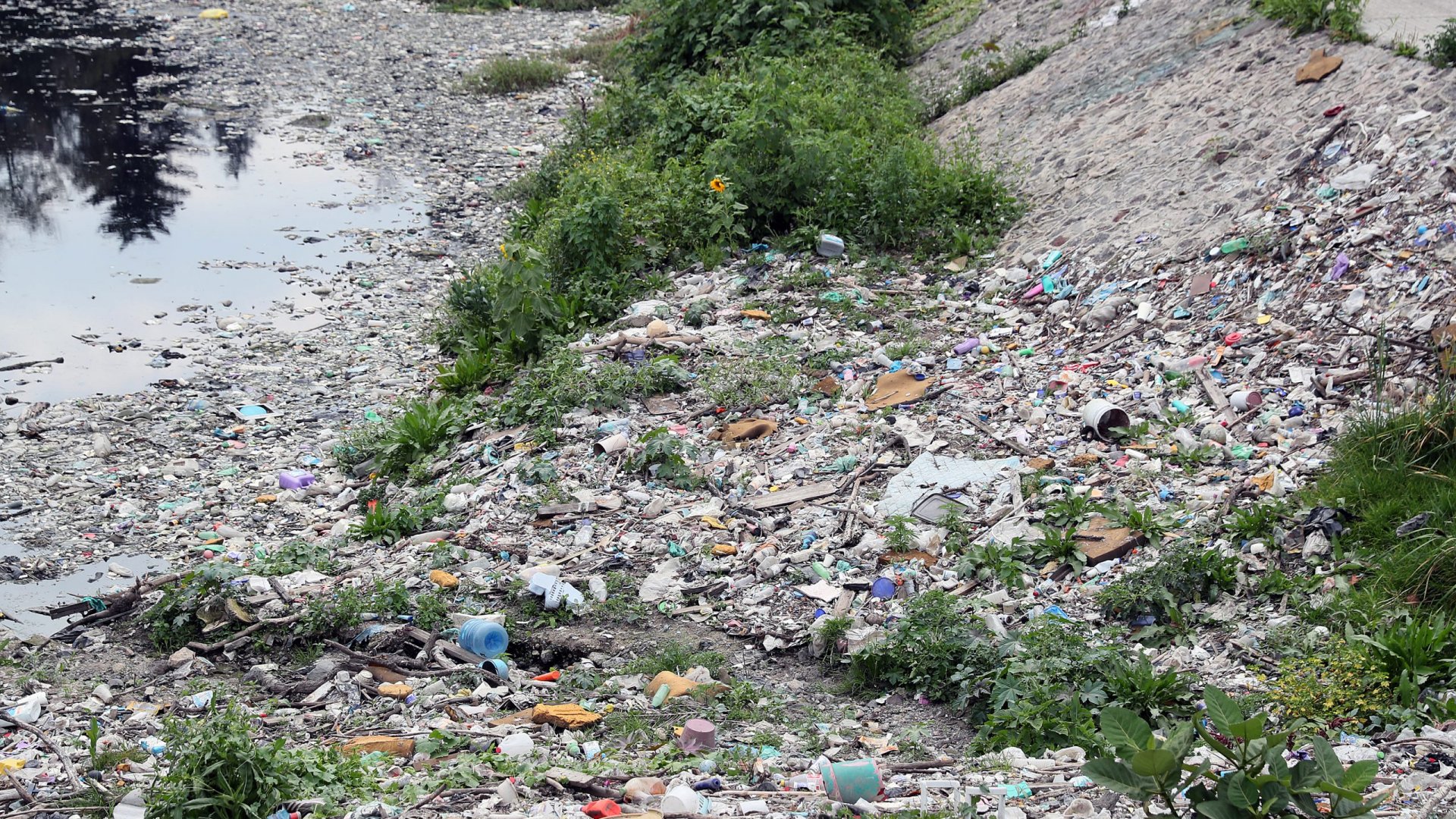 Semarnat publica Programa Nacional para Remediar Sitios Contaminados