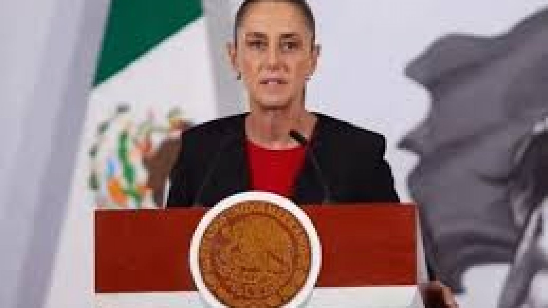 Sheinbaum enviará iniciativa para que partidos verifiquen antecedentes de candidatos