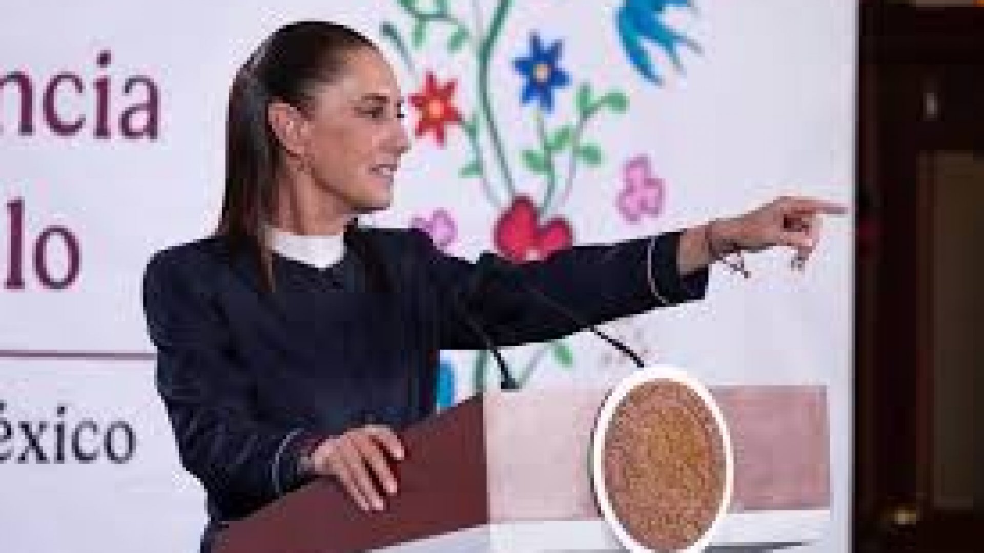 Sheinbaum destaca récord en inversión extranjera y balanza comercial de México