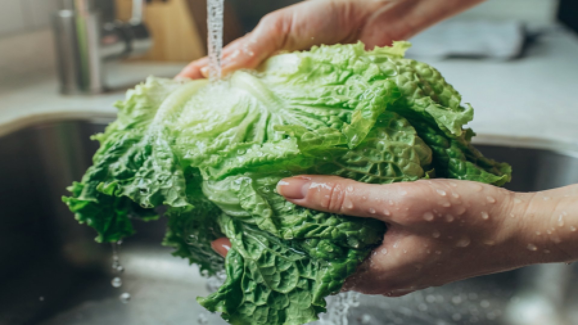 FDA rectifica y descarta que lechuga mexicana provocara brote de diarrea explosiva