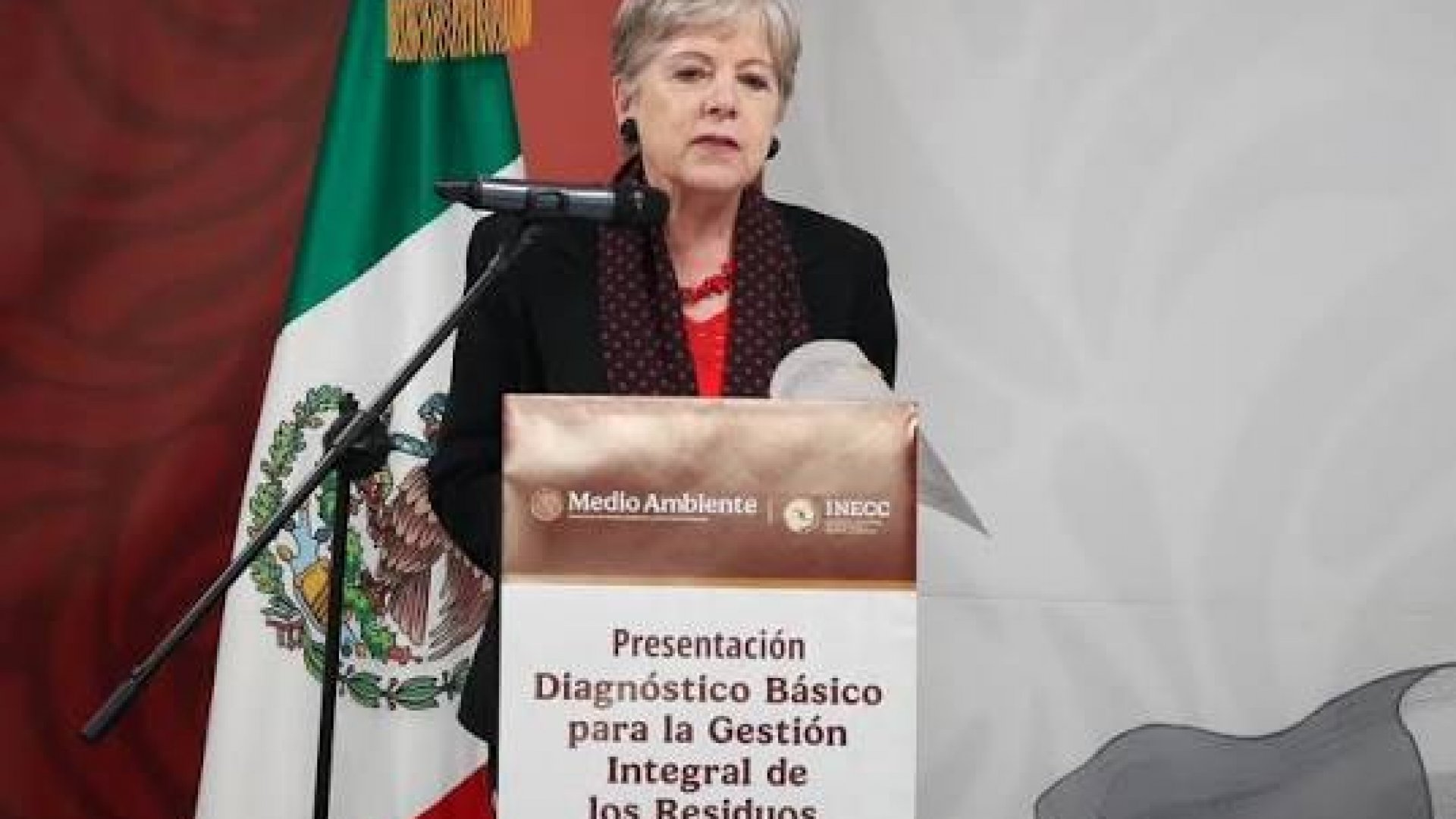 Alicia Bárcena llama a combatir de manera colectiva la crisis ambiental