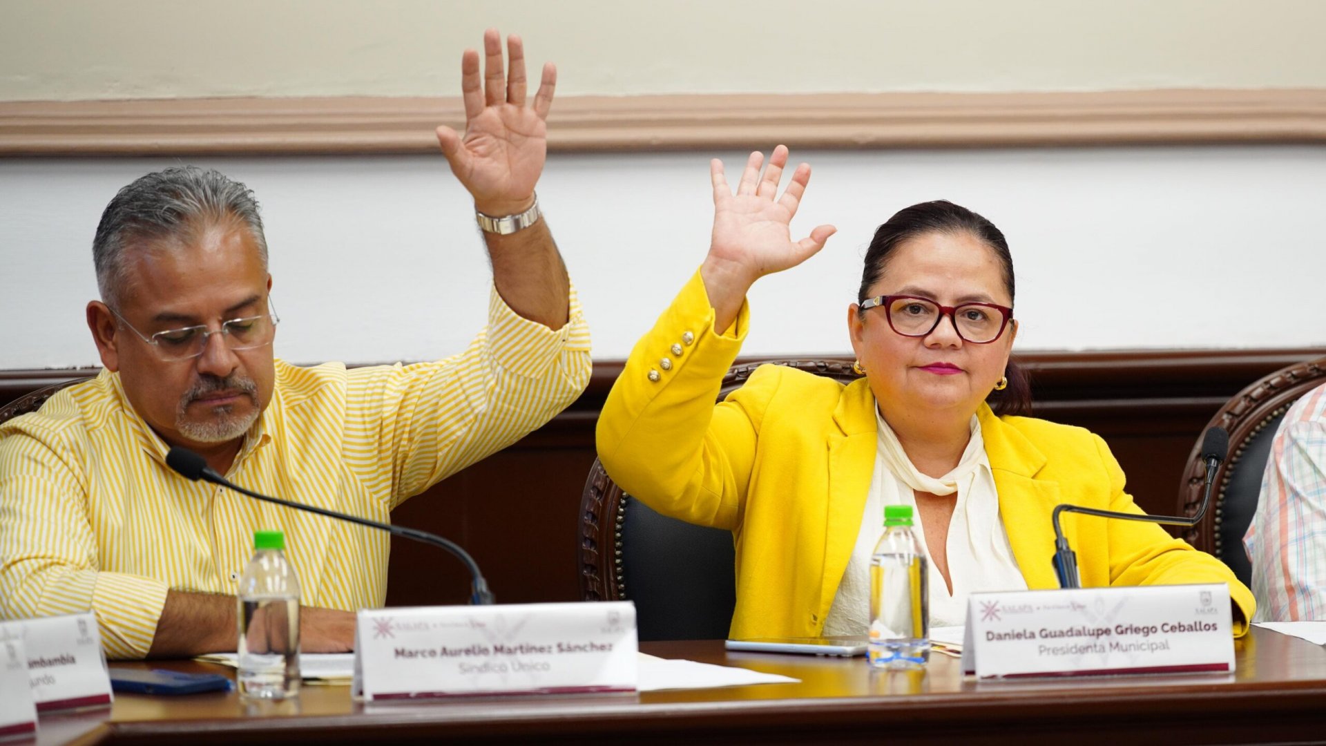 Cabildo de Xalapa impulsa reforma para fortalecer la protección animal