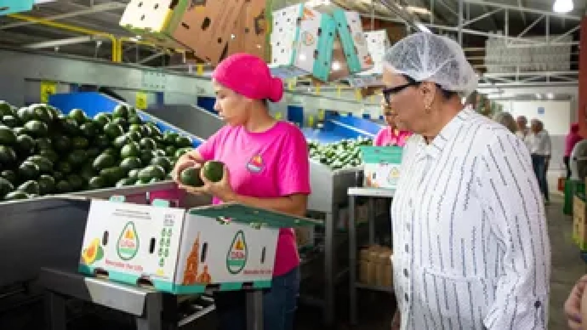 Rosa Icela Rodríguez visita municipios aguacateros de Michoacán para atender causas de la violencia
