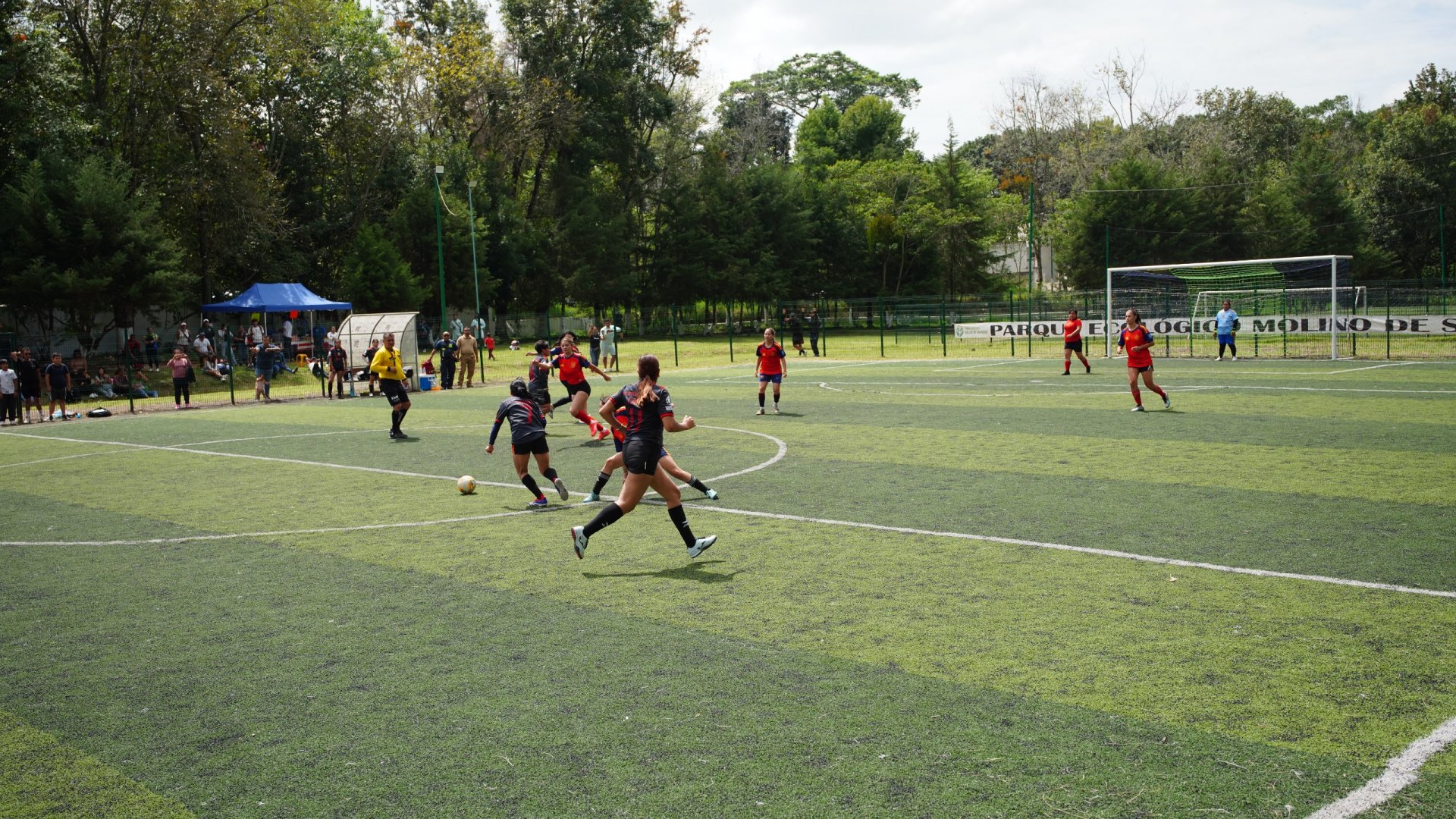 El deporte fortalece la convivencia y construye una mejor sociedad