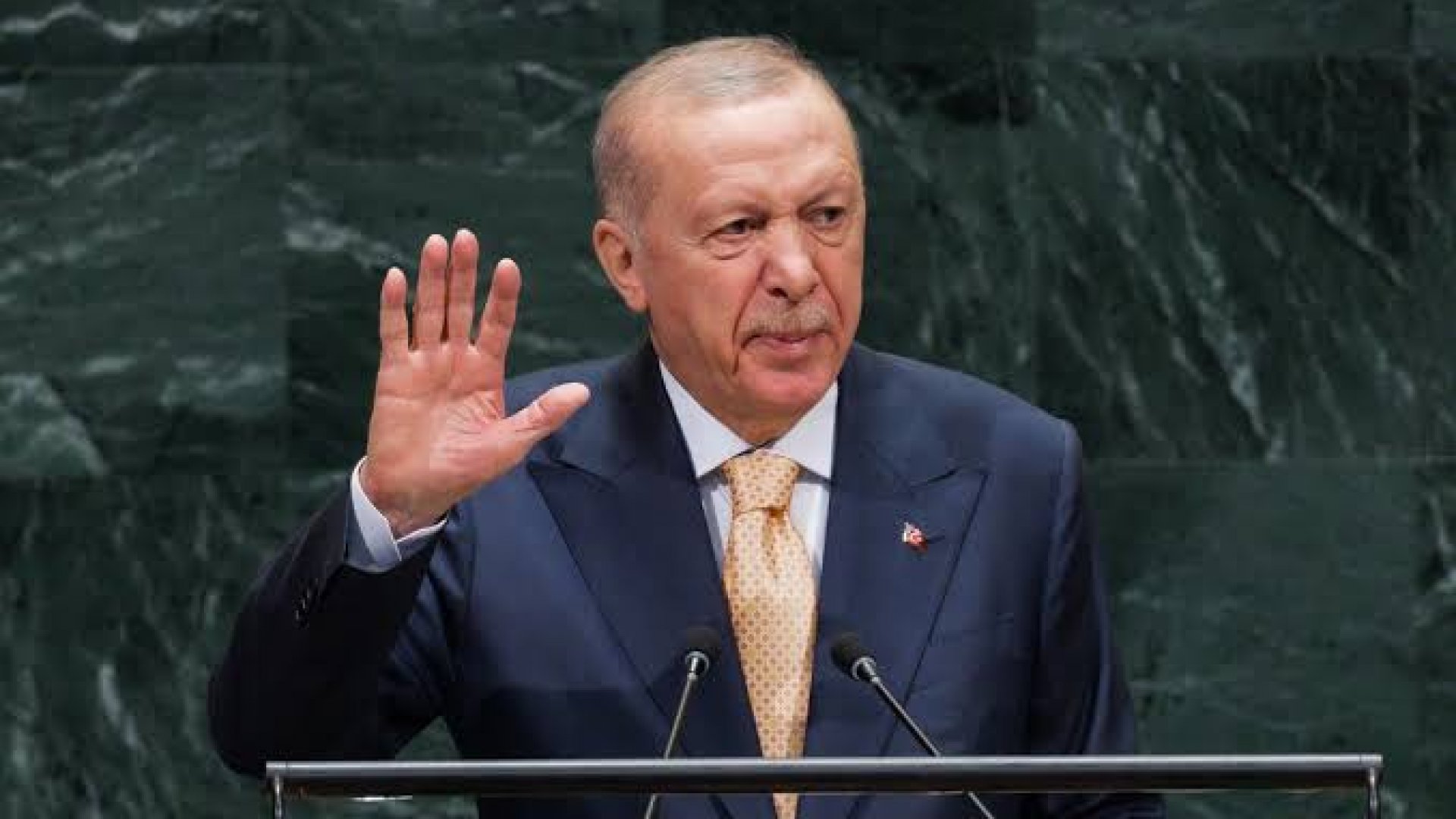 Erdogan denuncia situación de Gaza ante la Asamblea General de la ONU