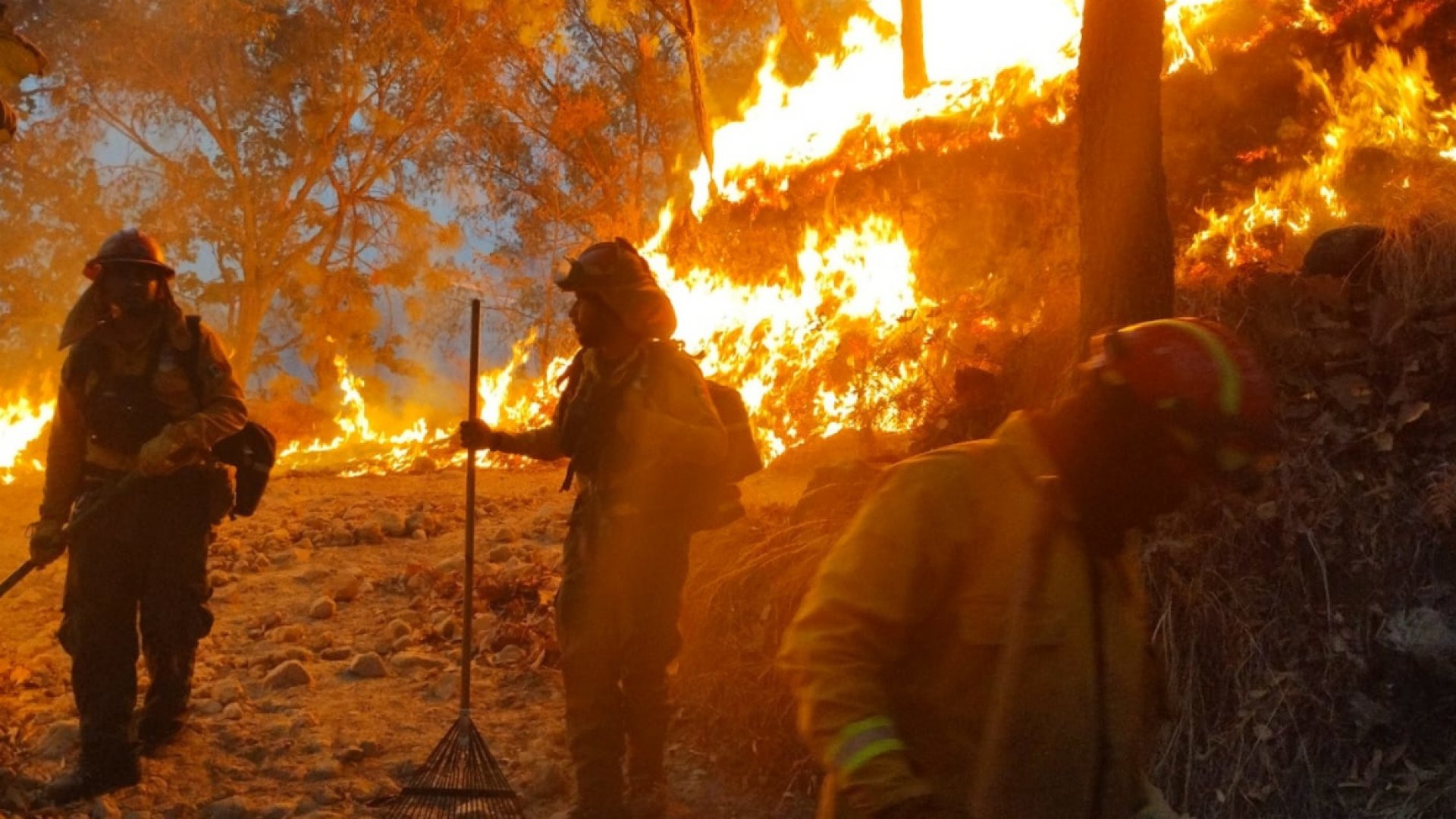 Se incendia La Primavera en pleno junio 