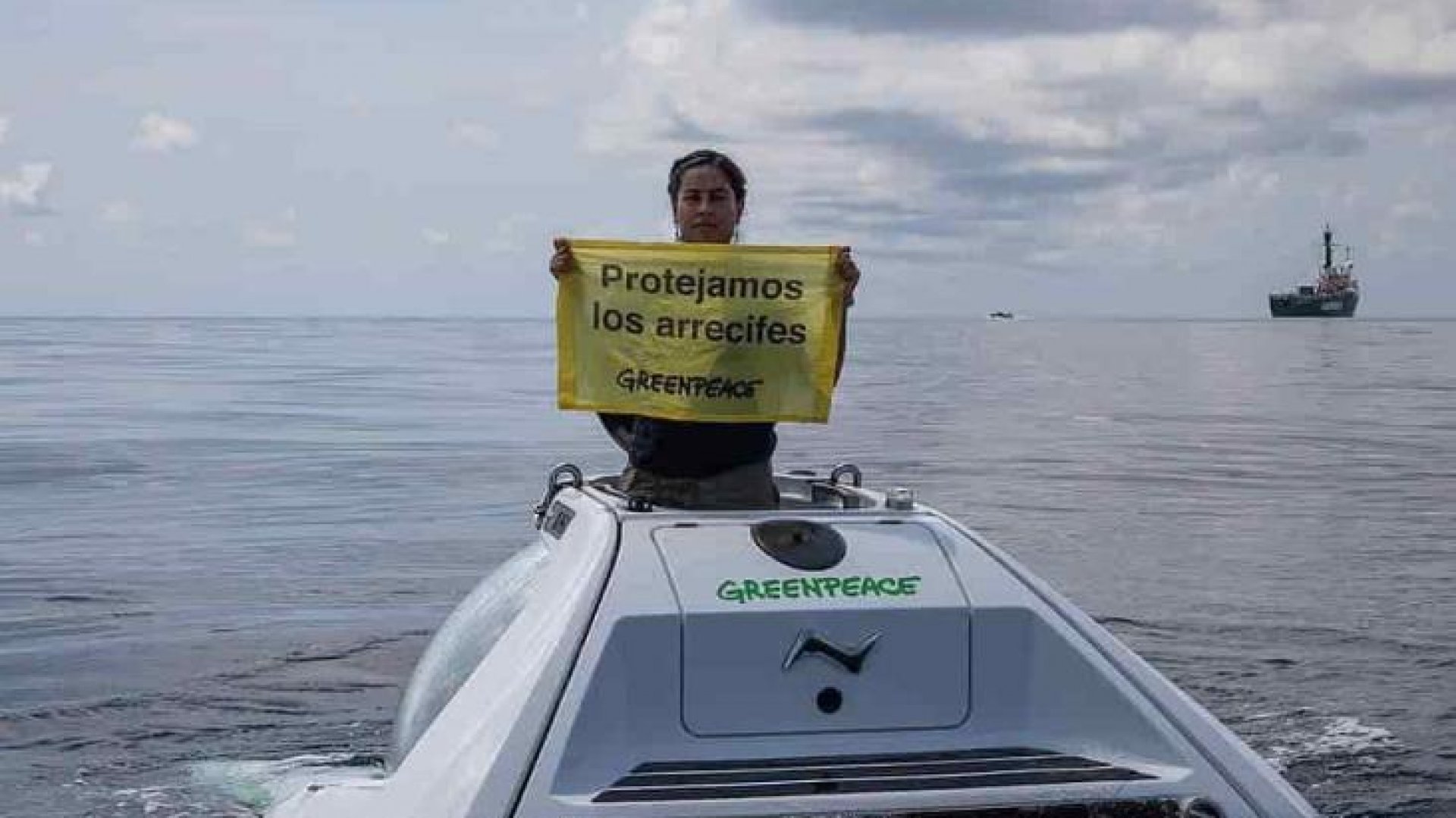 Gasoducto pone en riesgo ecosistemas arrecifales de Veracruz: Greenpeace