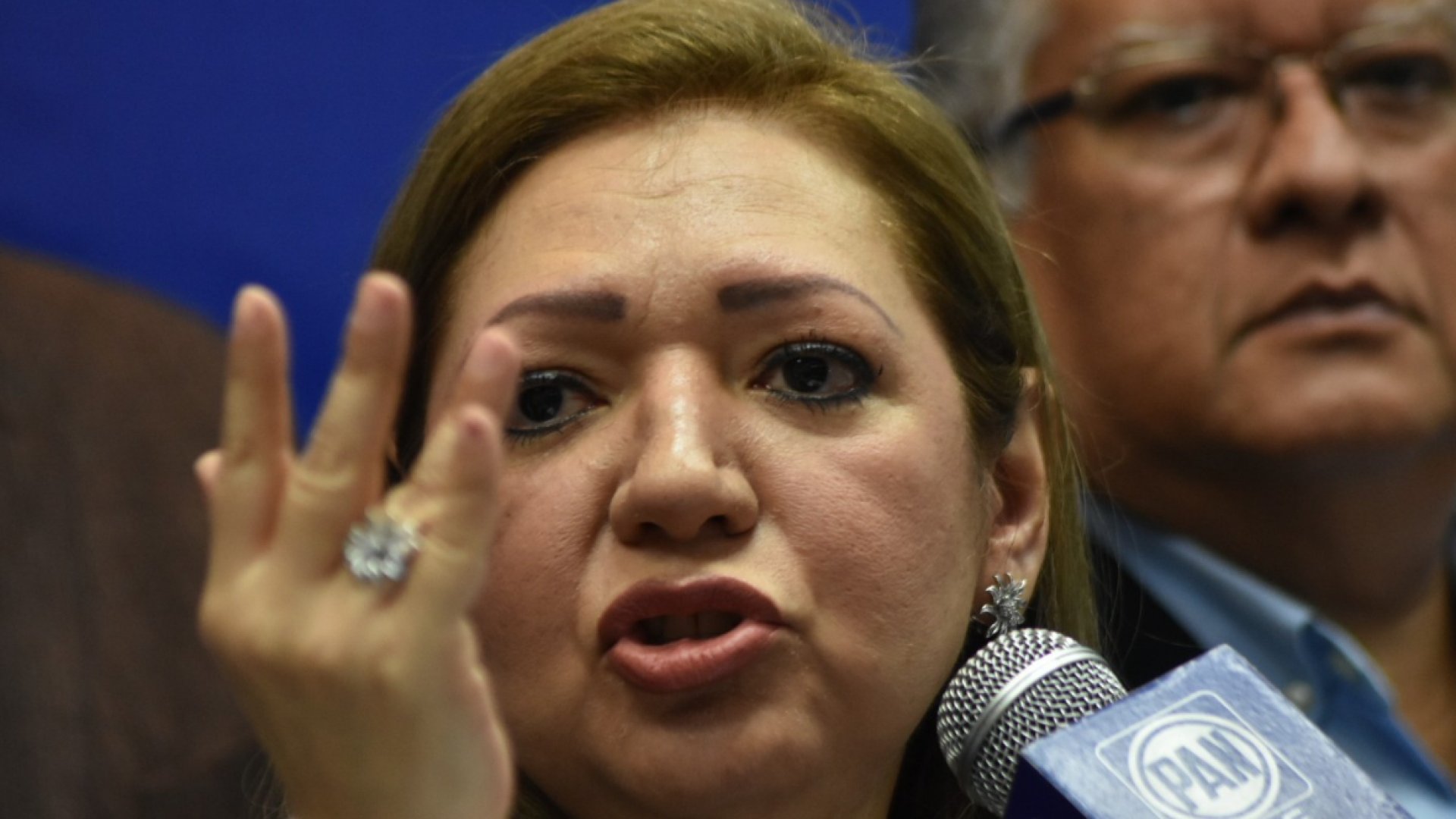 PAN estatal no entregó recursos a comités municipales este año