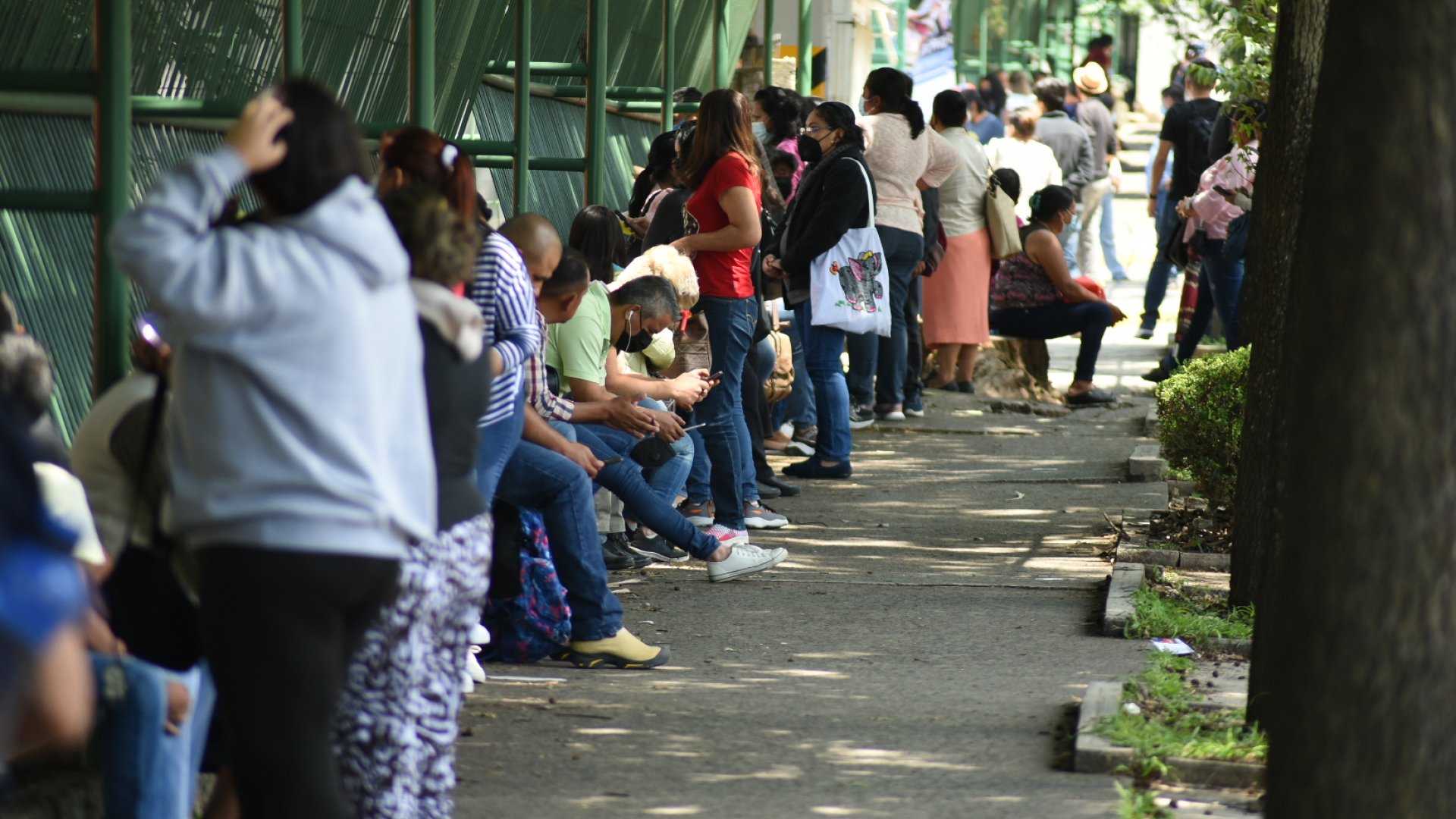 Más de 41 mil jóvenes buscan ingresar a la UV; la oferta es de 18 mil 74 lugares