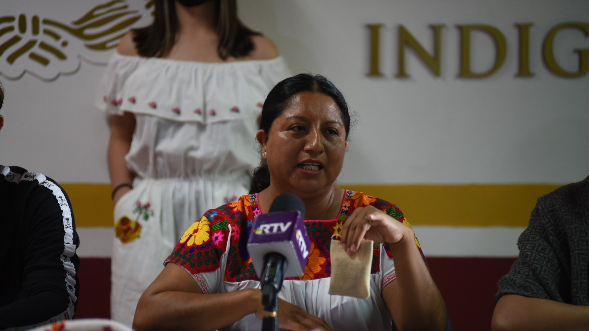 INE y OPLE deben establecer reglas para elección de candidatos indígenas o afrodescendientes: INPI