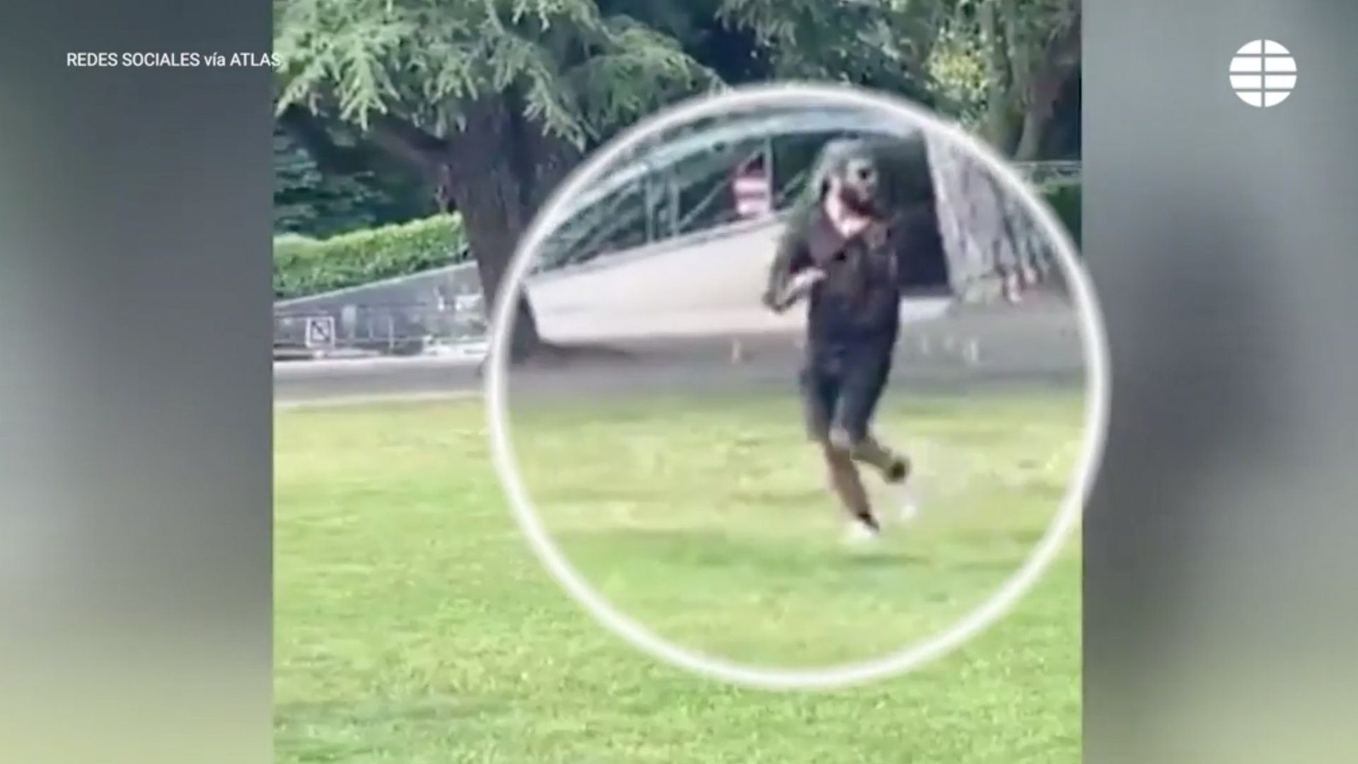 Cuatro niños y dos adultos heridos tras ser apuñalados en un ataque en la ciudad francesa de Annecy