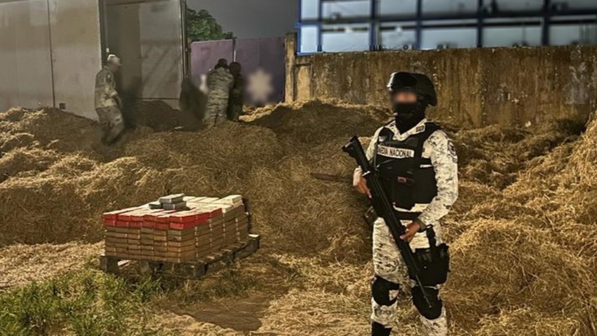 Guardia Nacional asegura 240 paquetes de cocaína en el sur de Veracruz