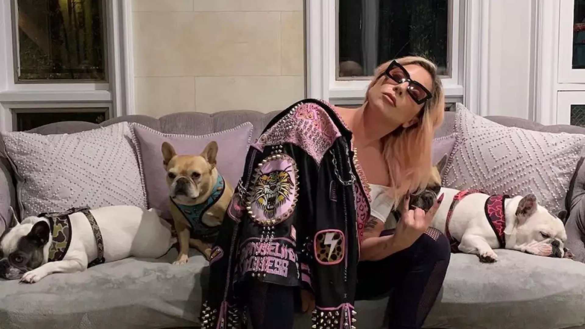 Lady Gaga no quiere pagar la recompensa tras recuperar a sus perros