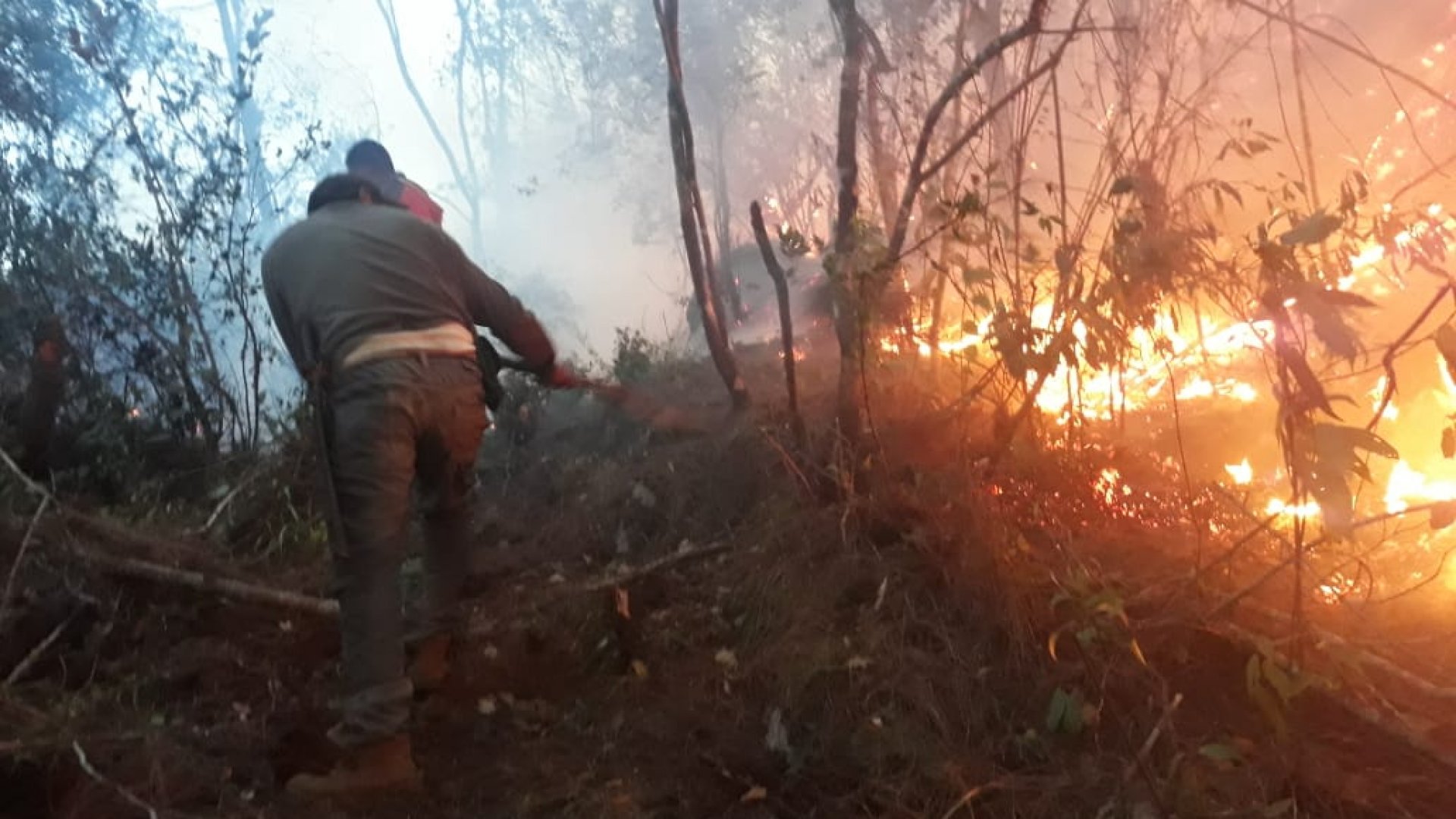 Altas temperaturas mantienen tres incendios en activo en Veracruz
