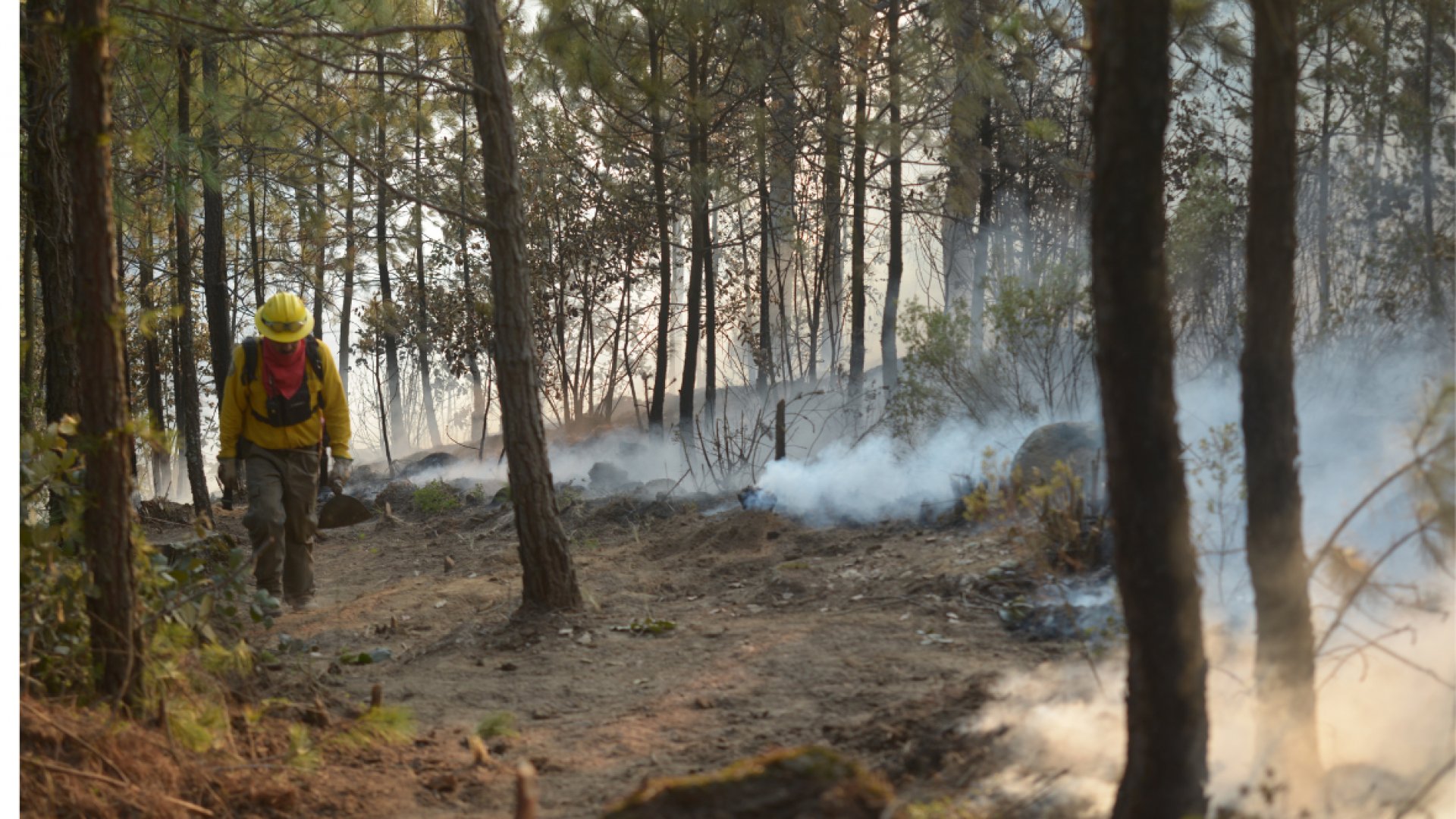 Veracruz enfrenta el desafío de contener 16 incendios forestales