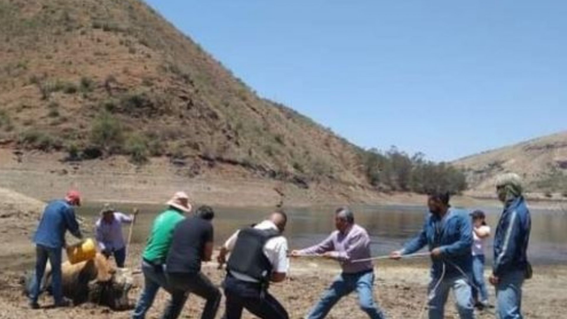 Causa estragos sequía en Guanajuato