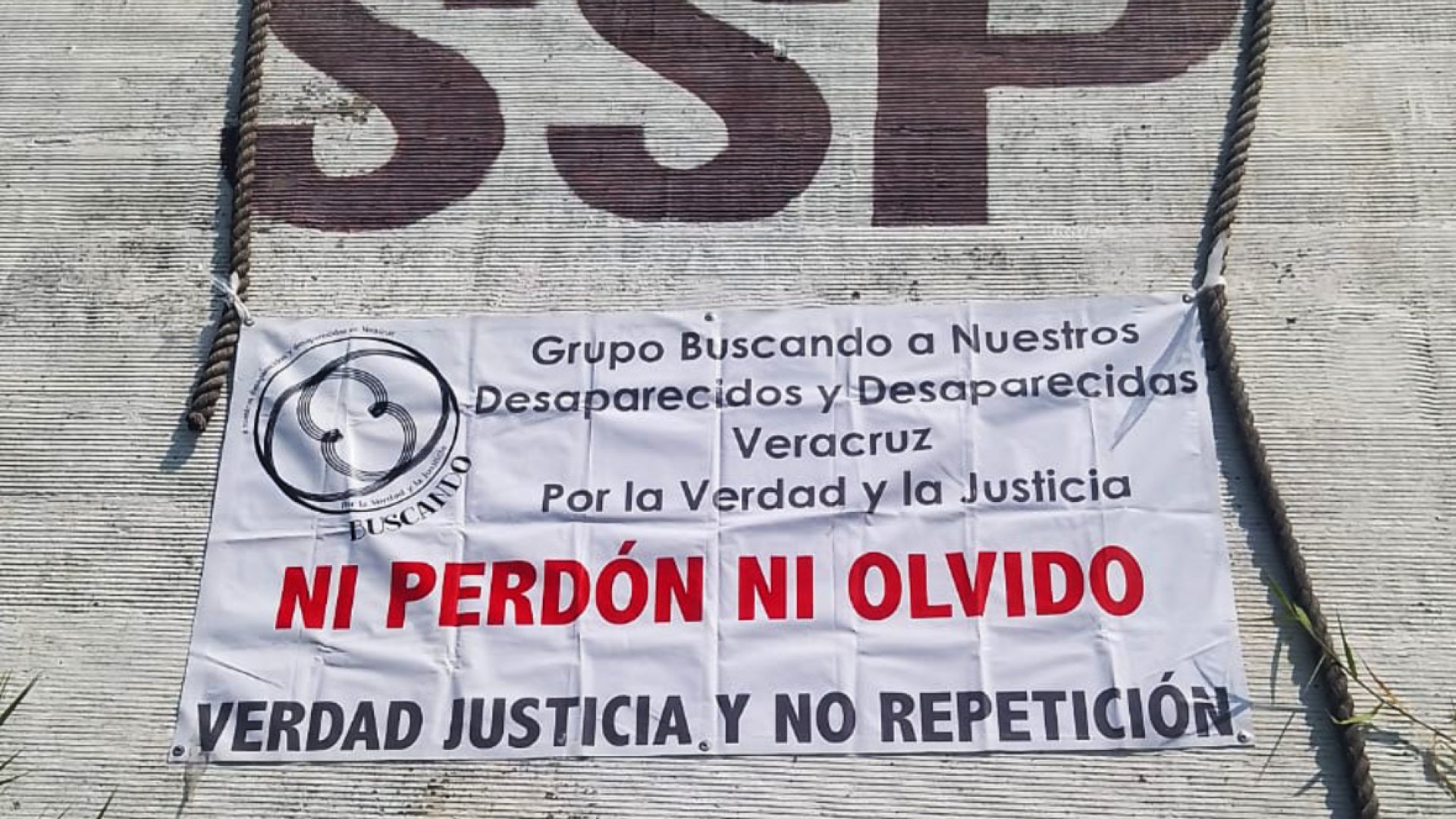 Colectivos de desaparecidos reinician búsqueda de fosas en Academia de Policía en Veracruz