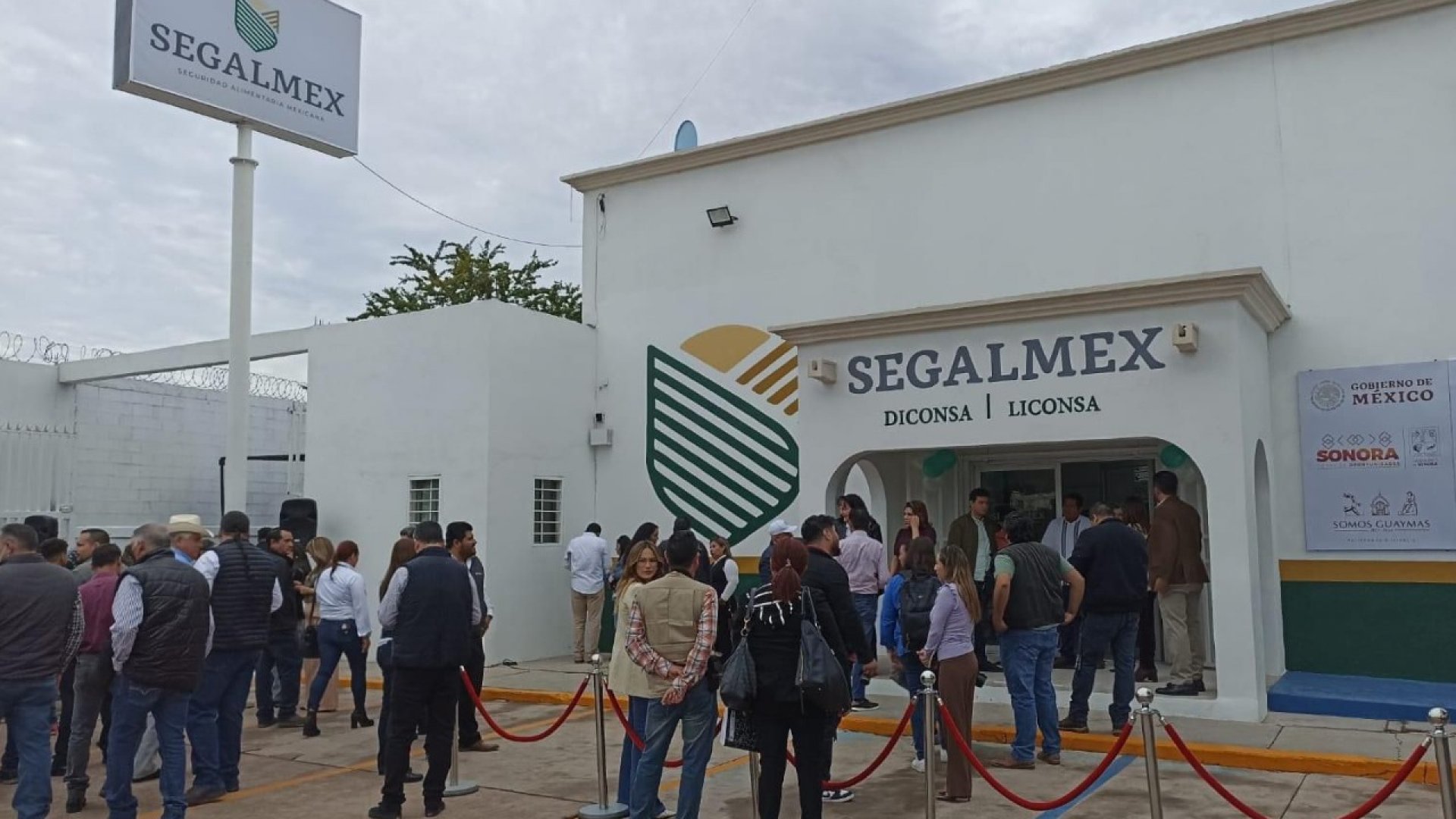 En caso Segalmex van 100 denuncias contra 87 personas por fraude