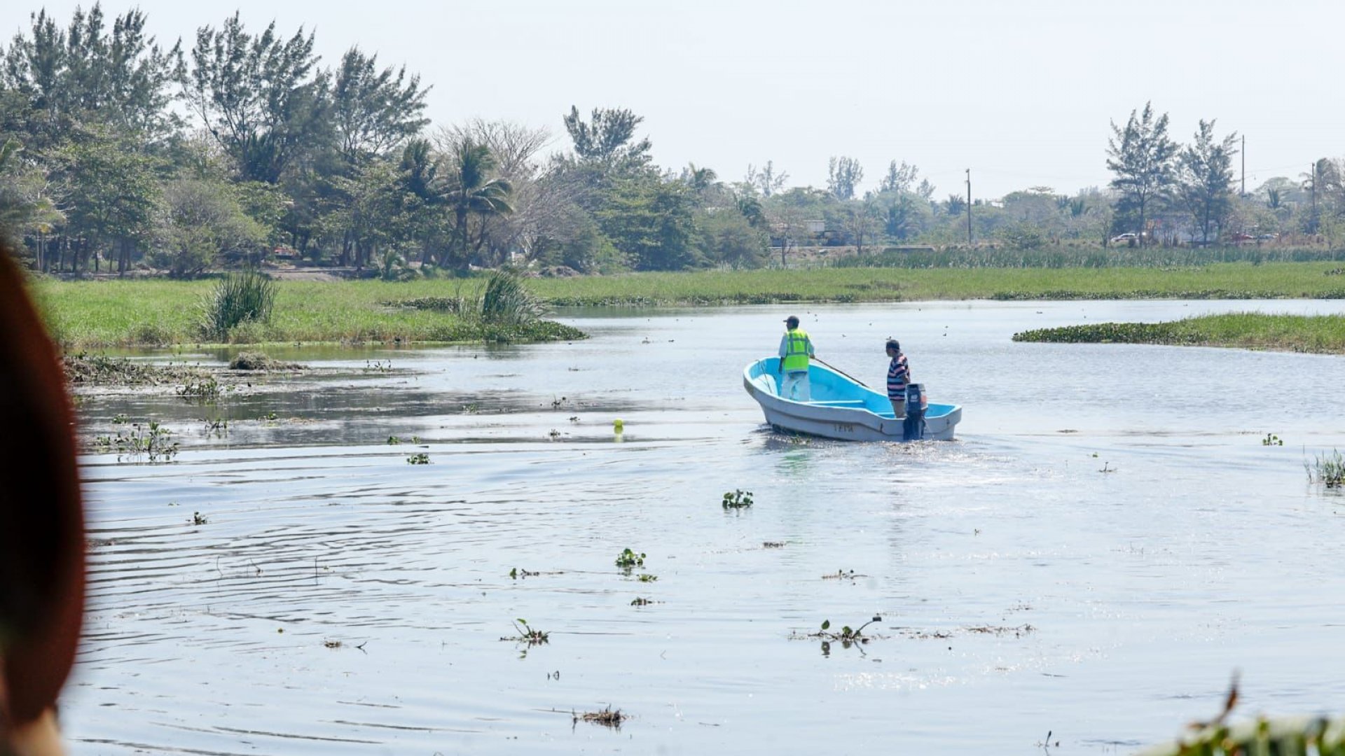 Veracruz, con la mayor pérdida de ecosistemas originales a nivel nacional: Femcobi