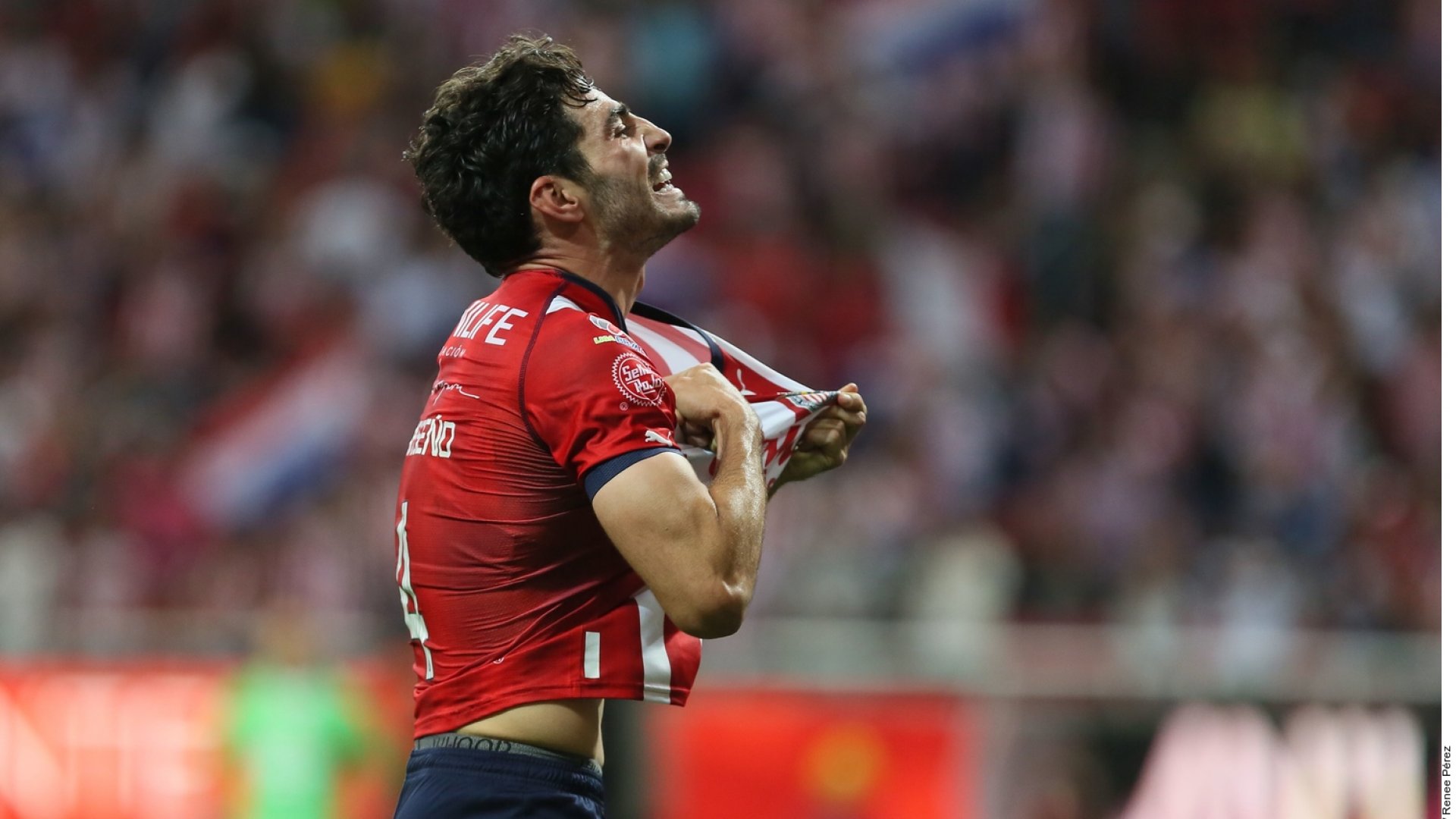 El ‘Pollo’ Briseño vive su mejor momento en Chivas