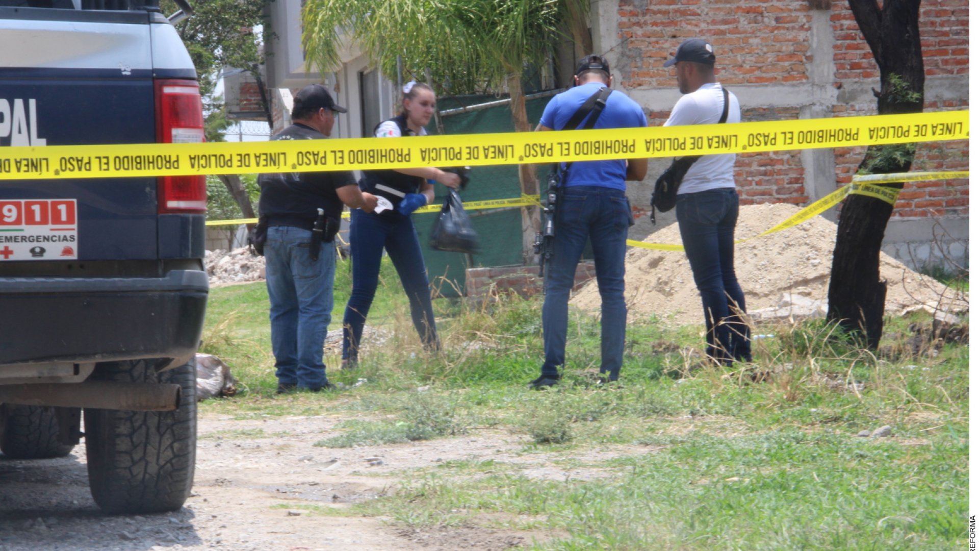Perros comen partes humanas en Guadalajara, todo sobre el caso