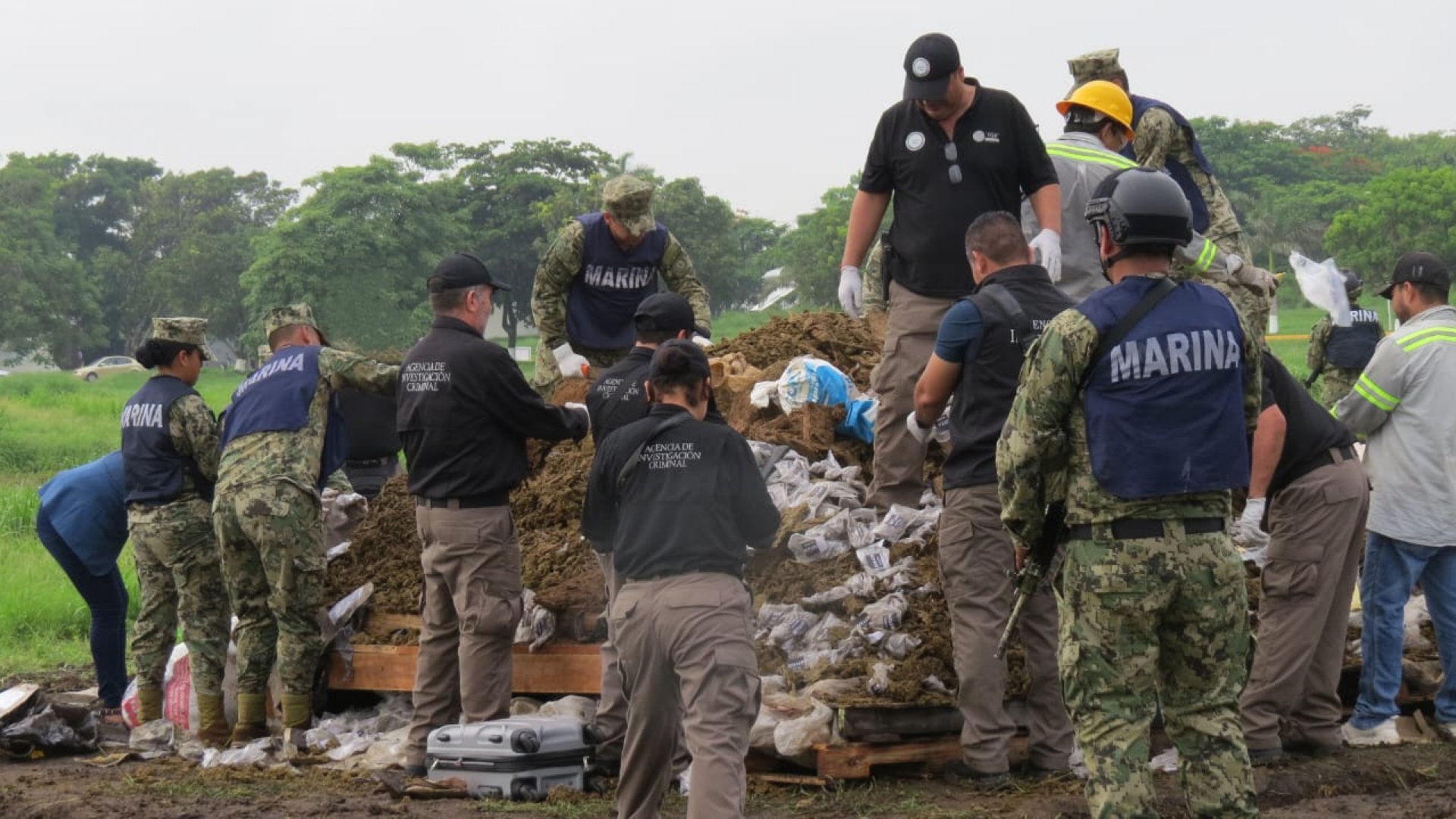 Droga incautada en Veracruz, con valor de mil 83 mdp