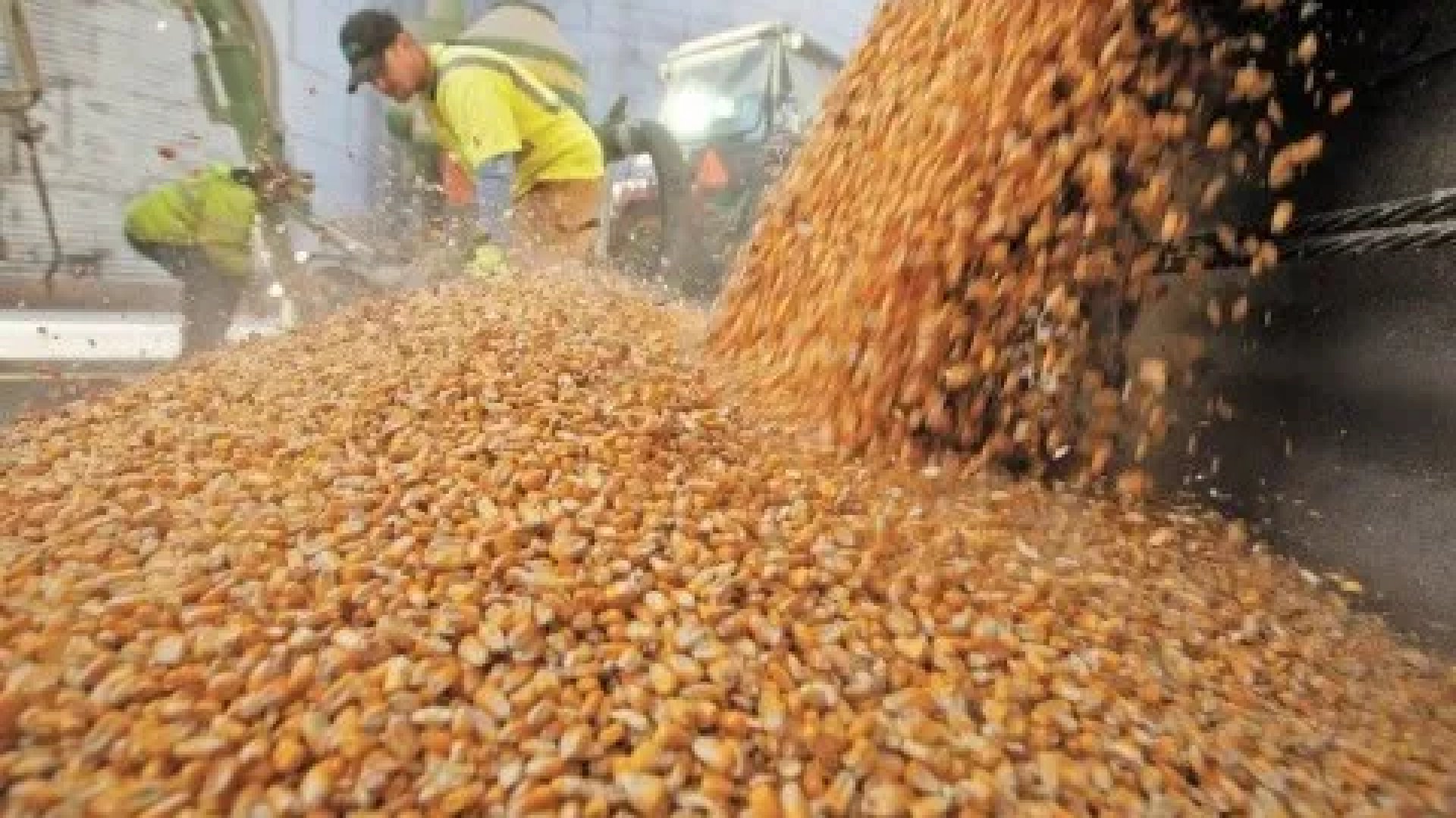 Suspende Rusia convenio de exportación de grano con Ucrania