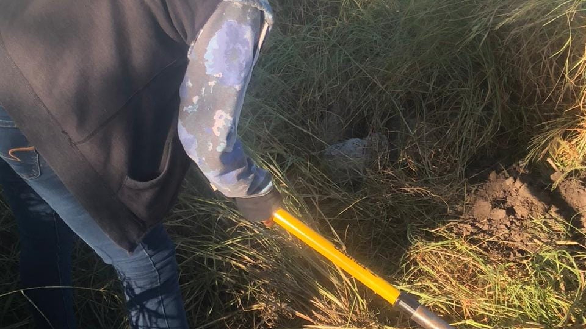 Fosa clandestina: van más de 27 cuerpos encontrados en predio de Reynosa