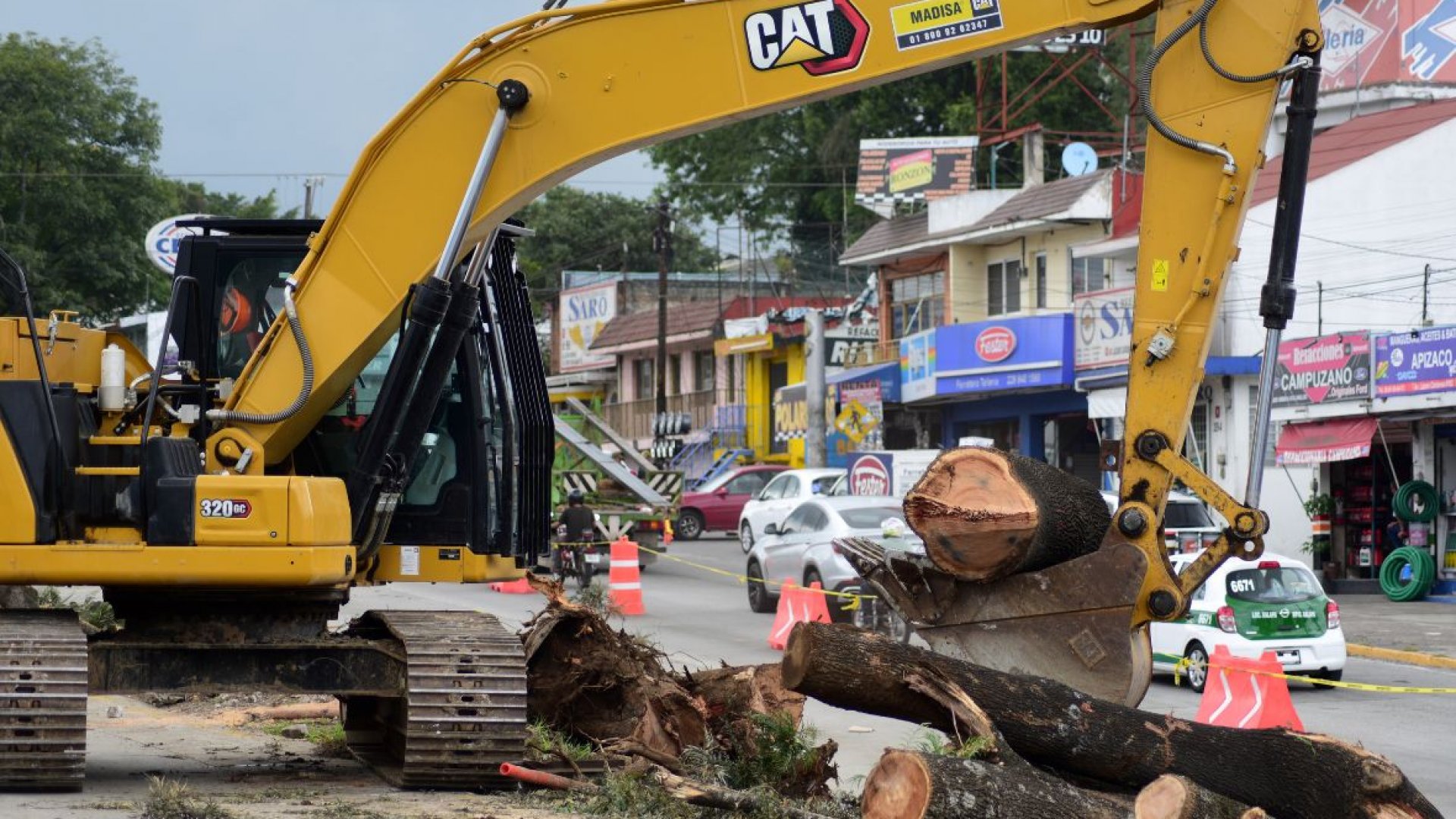 Juez federal suspende provisionalmente obra que contemplaba derribar 65 árboles en Xalapa