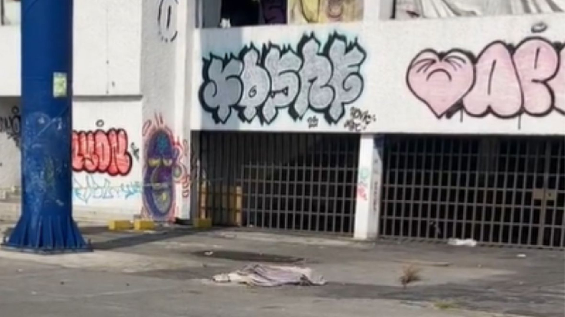 Matan a perro por defender a su dueño en intento de asalto