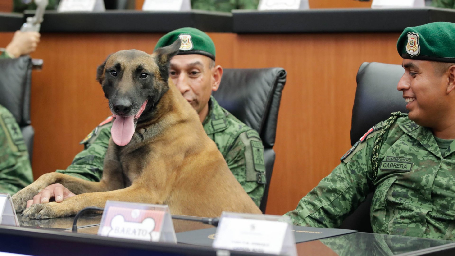 Reconocen a lomitos de Fuerzas Armadas en Senado