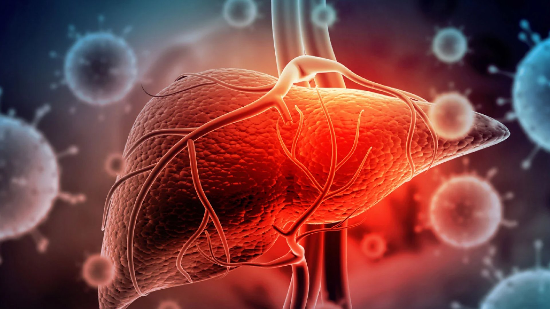 Hepatitis puede ser más letal que la tuberculosis, sida y malaria, alerta OMS