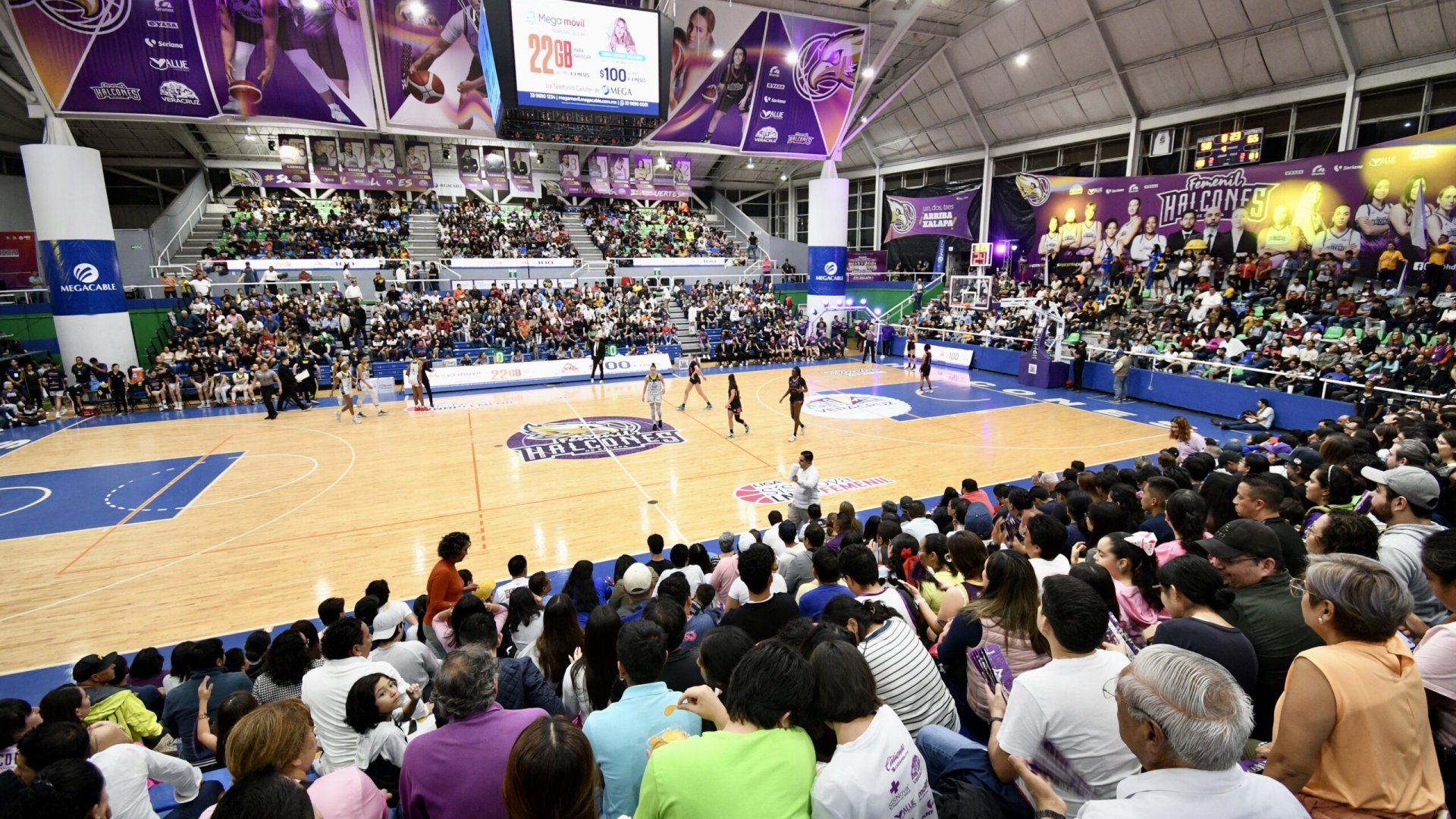 El Nido del Halcón recibió el tercer juego de la final de zona Punto CHG
