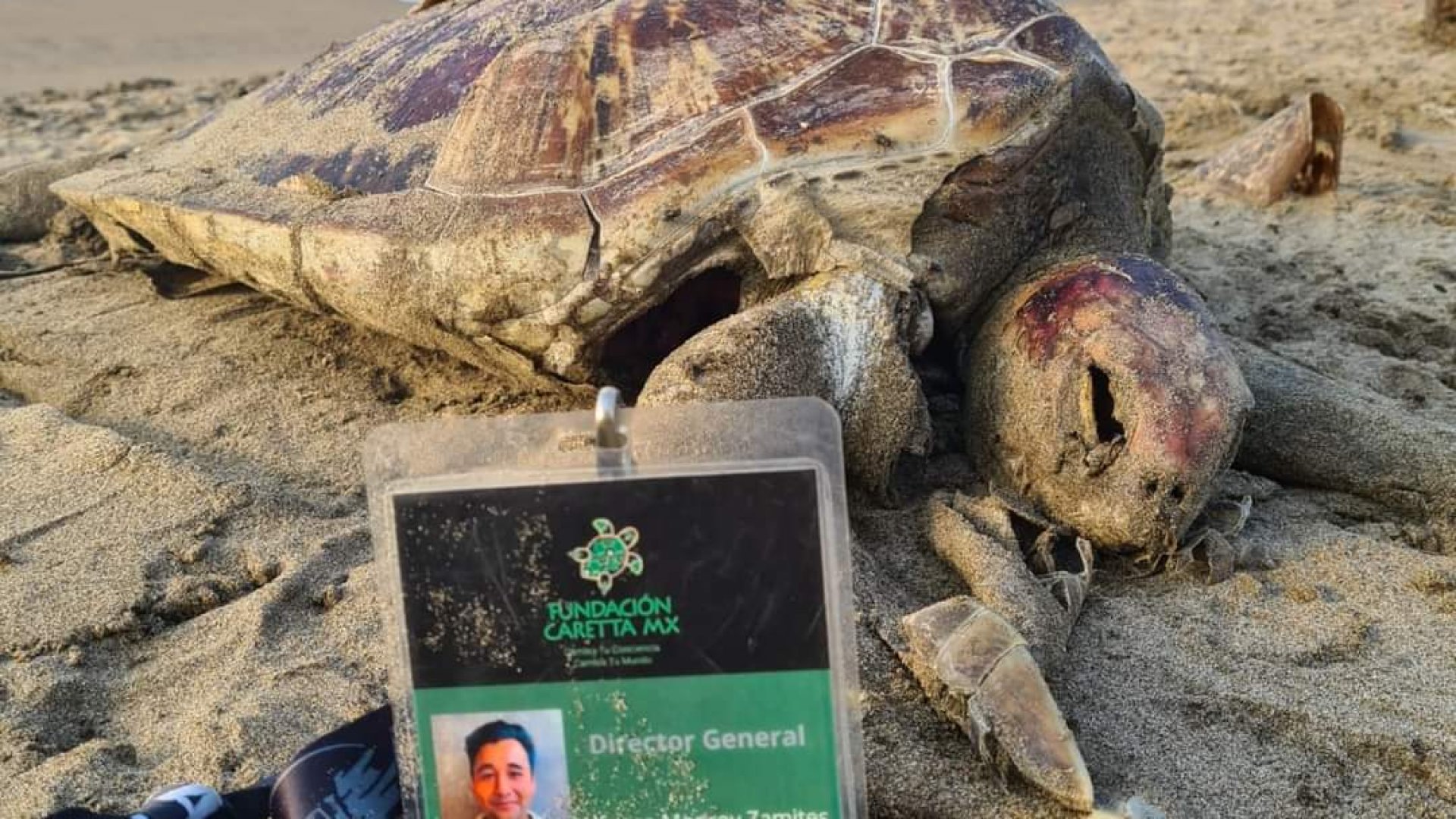 Contaminadas con combustóleo 5 km de playas en el sur de Veracruz