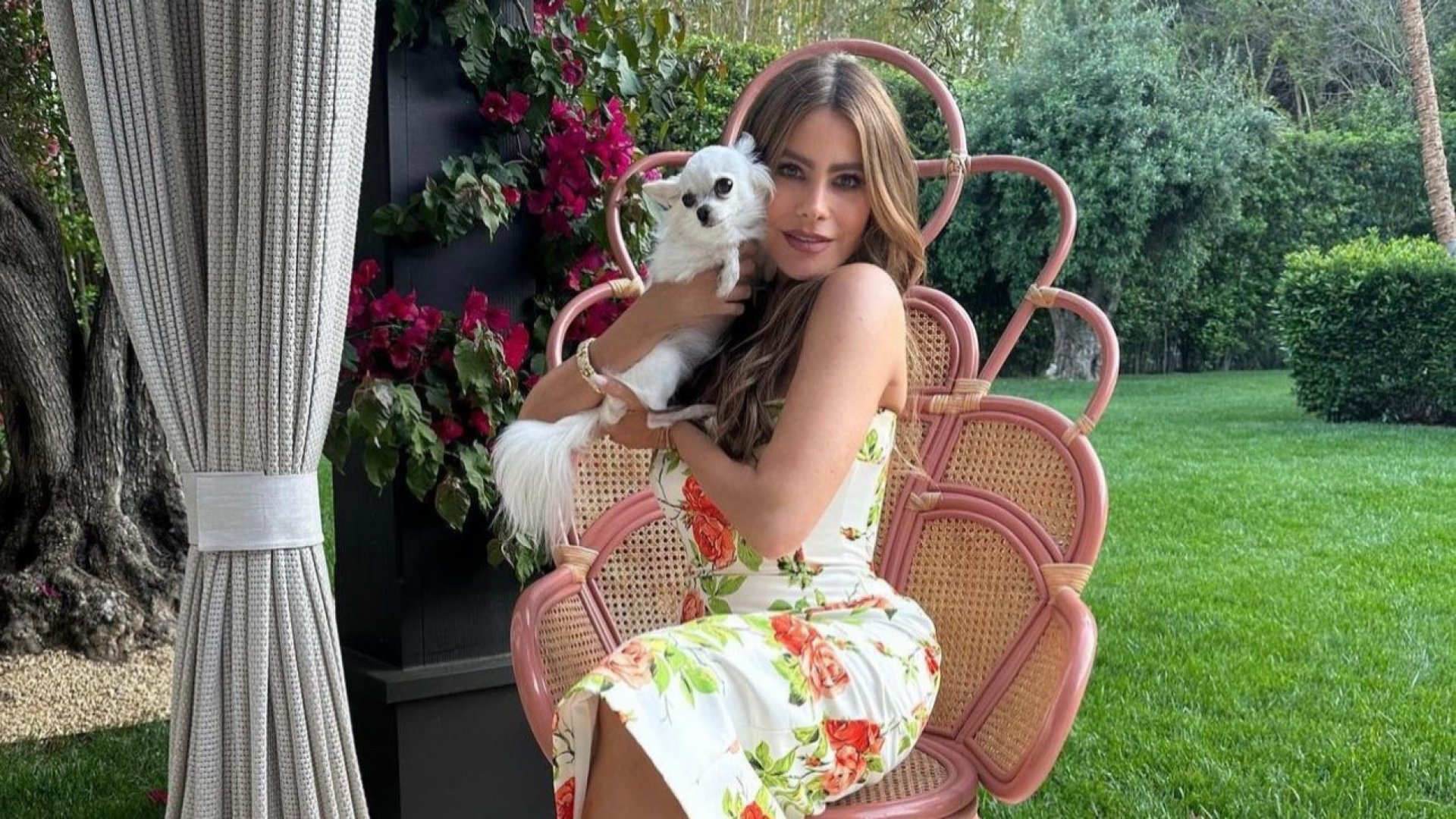 Quiere Sofía Vergara que se respete su acuerdo prenupcial