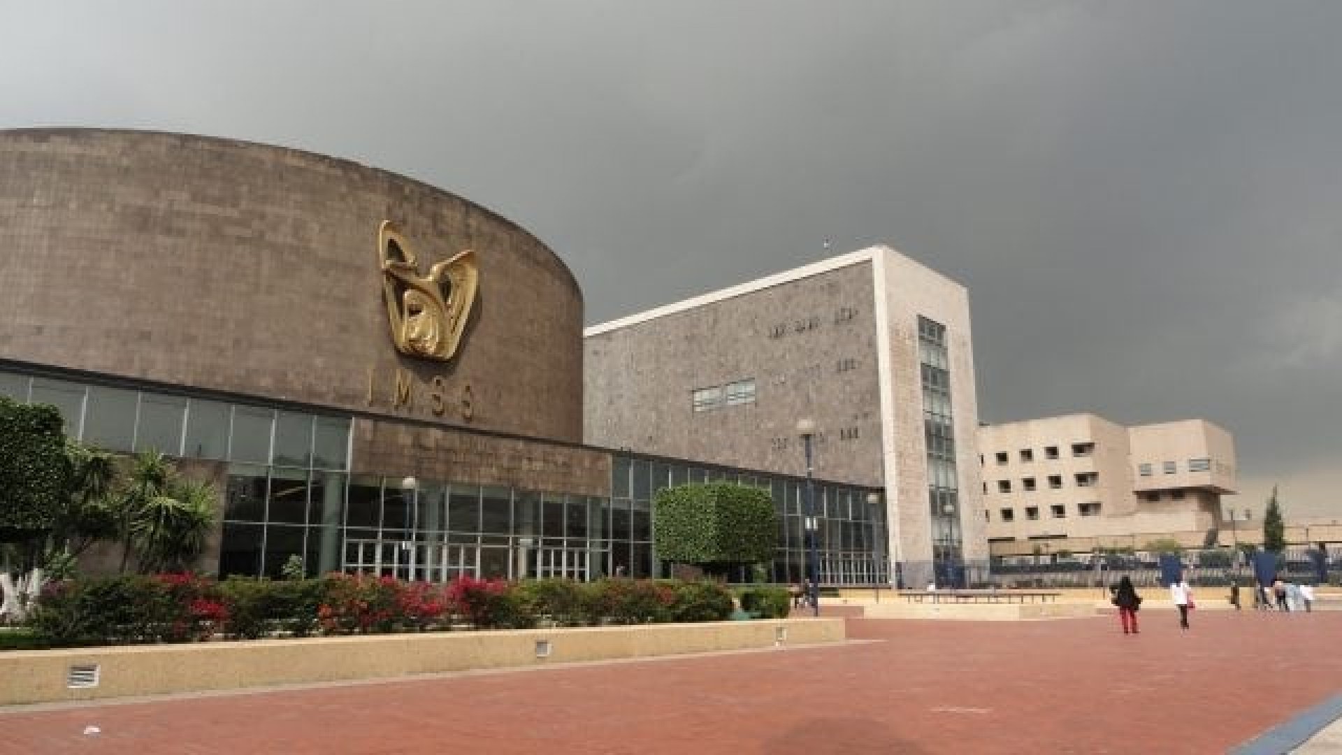 IMSS asigna contratos a empresas fantasma por más de mil 100 mdp