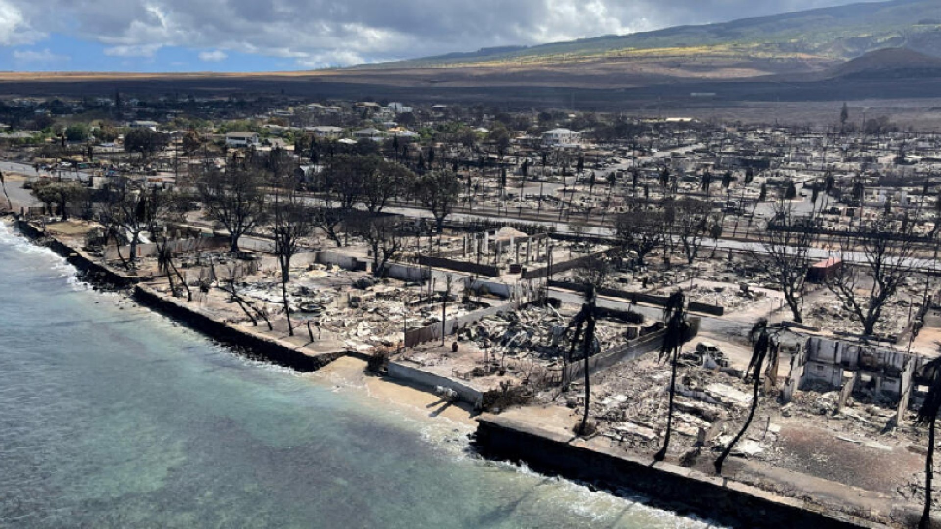 Incendio en Hawái mata a dos mexicanos; SRE ofrece asistencia
