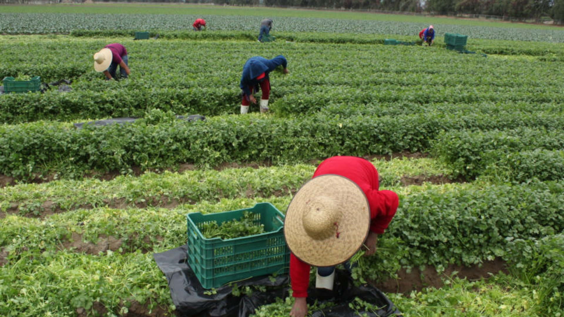 Procuraduría Agraria invita al seminario ‘Derechos de los sujetos agrarios: nuevas perspectivas’