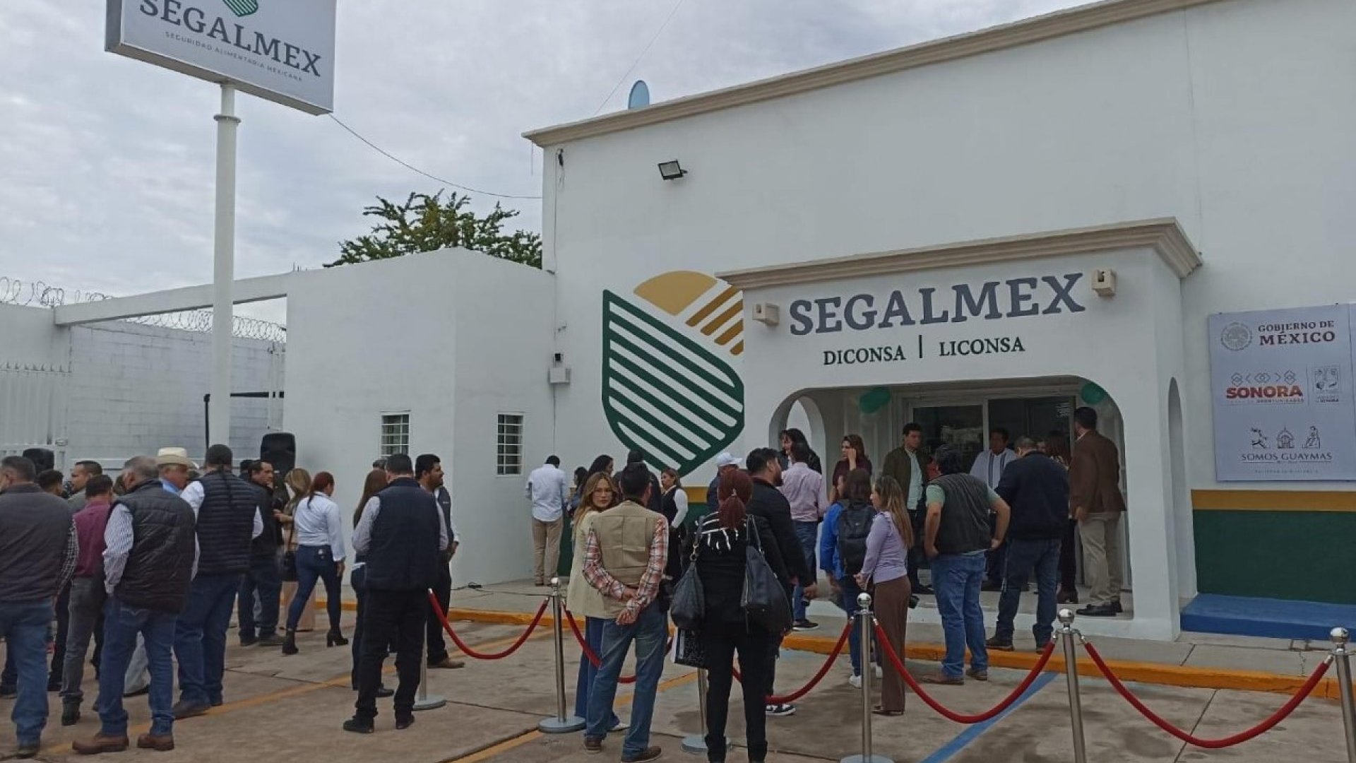Piden en caso Segalmex pena de hasta 14 años