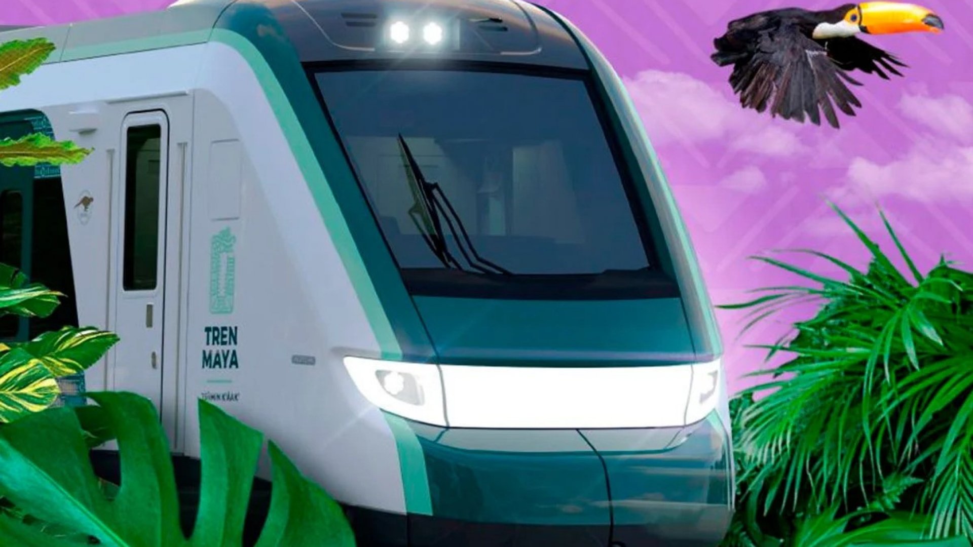 Román Meyer, compartió las primeras imágenes al interior del Tren Maya