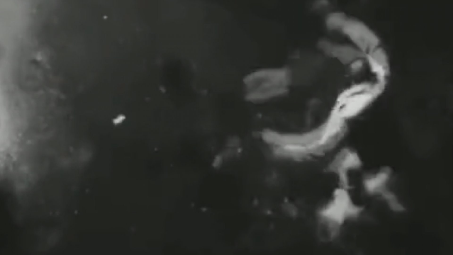 ¿Extraterrestres? ¿Fantasmas? Hombre es atacado con brutalidad por extraña criatura invisible